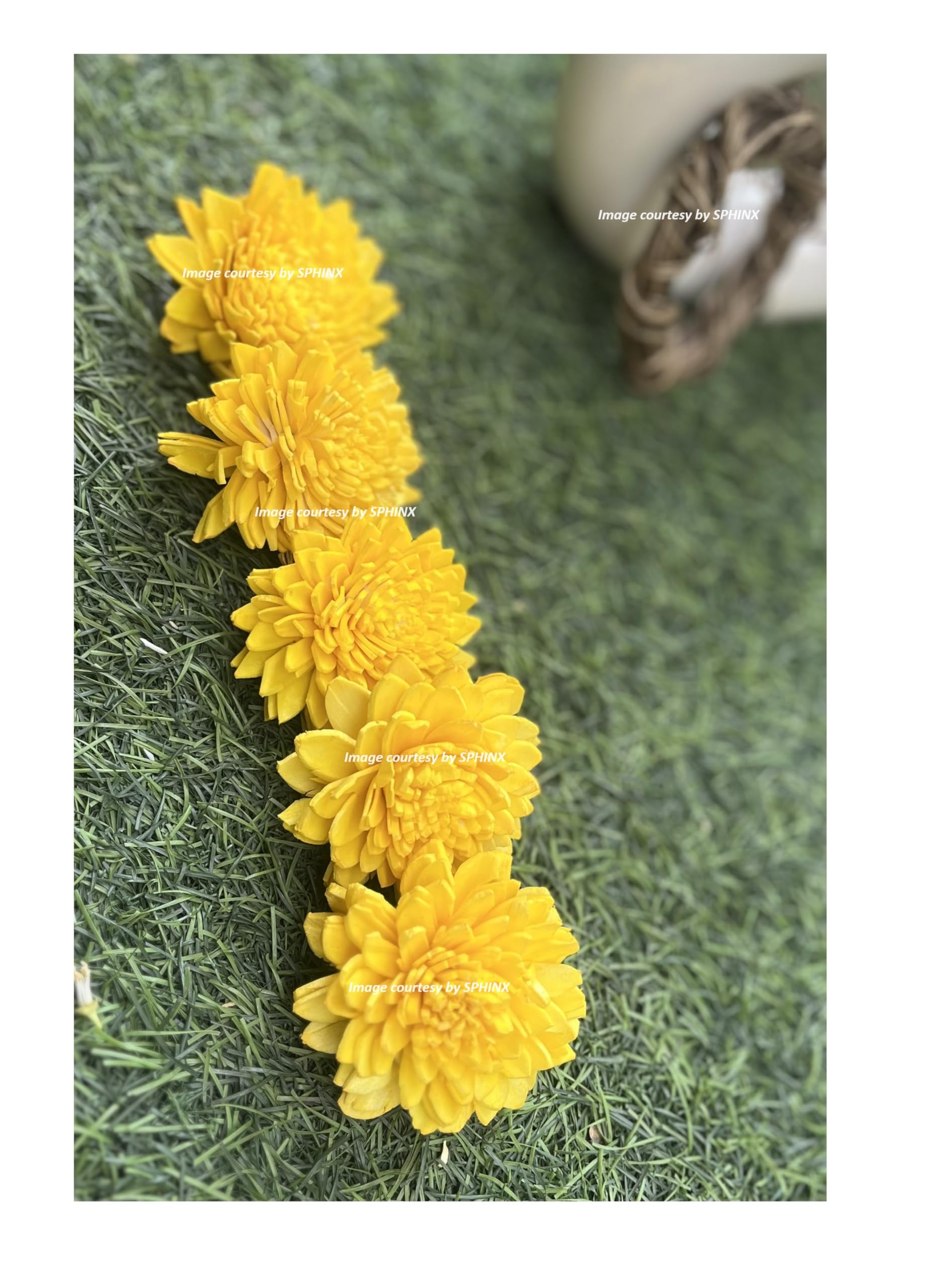 SPHINX Sola Zinnia/daisy Flowers for Festive decor, Christmas decorations Pooja decor Wedding Housewarming table decorations - (( Diameter approx 6 cms) - 50 Pieces, Yellow)