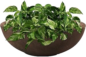Modern Round Planter Bowl with Double-Wall Design