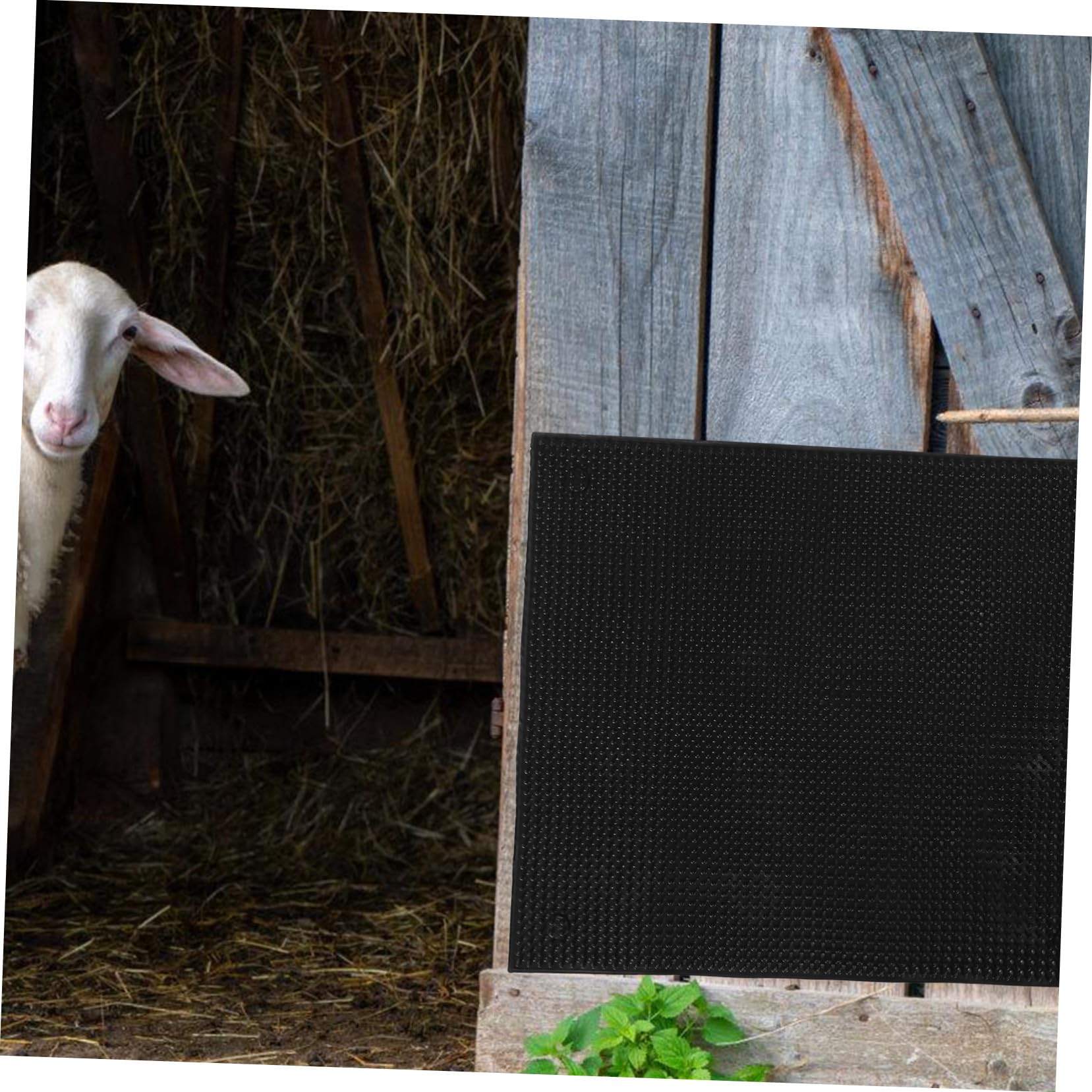 Spazzola Tiragraffi per Bovini e Equini Accessorio per Box e Recinti Pannello Stop Prurito per Allevamento Indoor e Outdoor Supporto Benessere Animale Facilmente Montabile