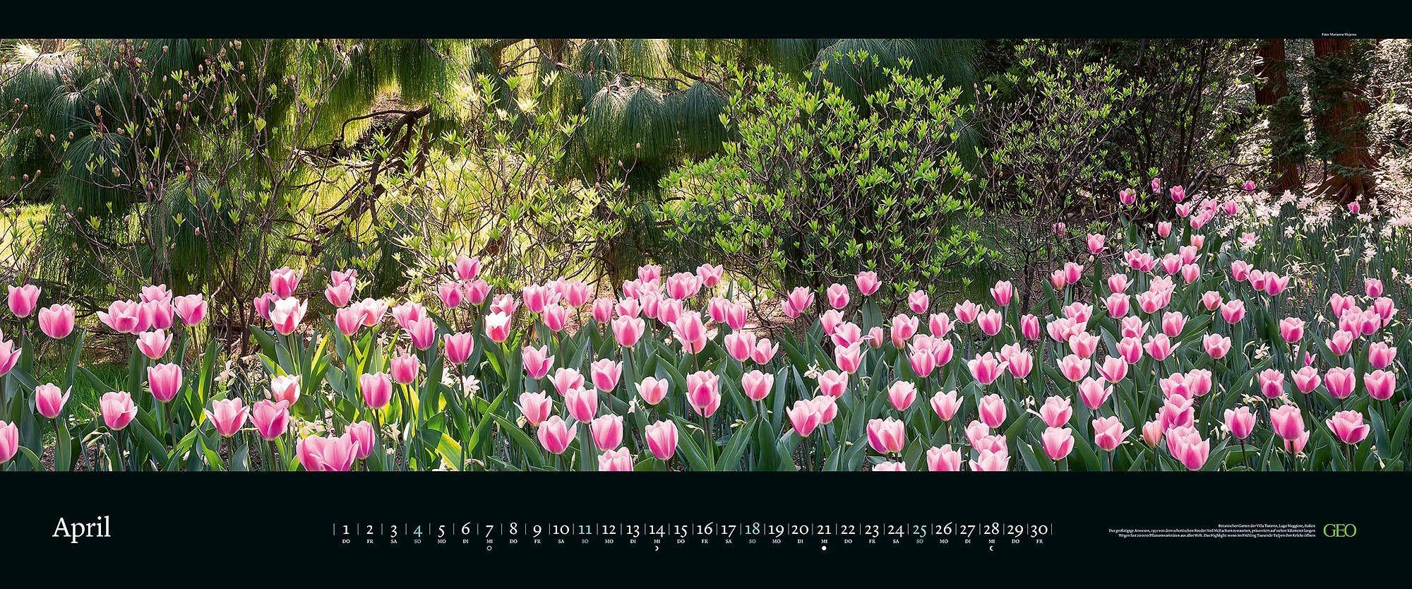 GEO Panorama: Die schönsten Gärten 2027: XXL Wandkalender 120x50cm mit 12 Gartenfotografien, deutschem Kalendarium und Spiralbindung | XXL Wandkalender 120x50cm mit 12 Gartenfotografien, deutschem Kalendarium und Spiralbindung