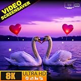 Swans Latest 💞 8K Romantic Screensaver with M