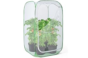 Guardian of Your Berries: 36" Covers for Strawberry Plants