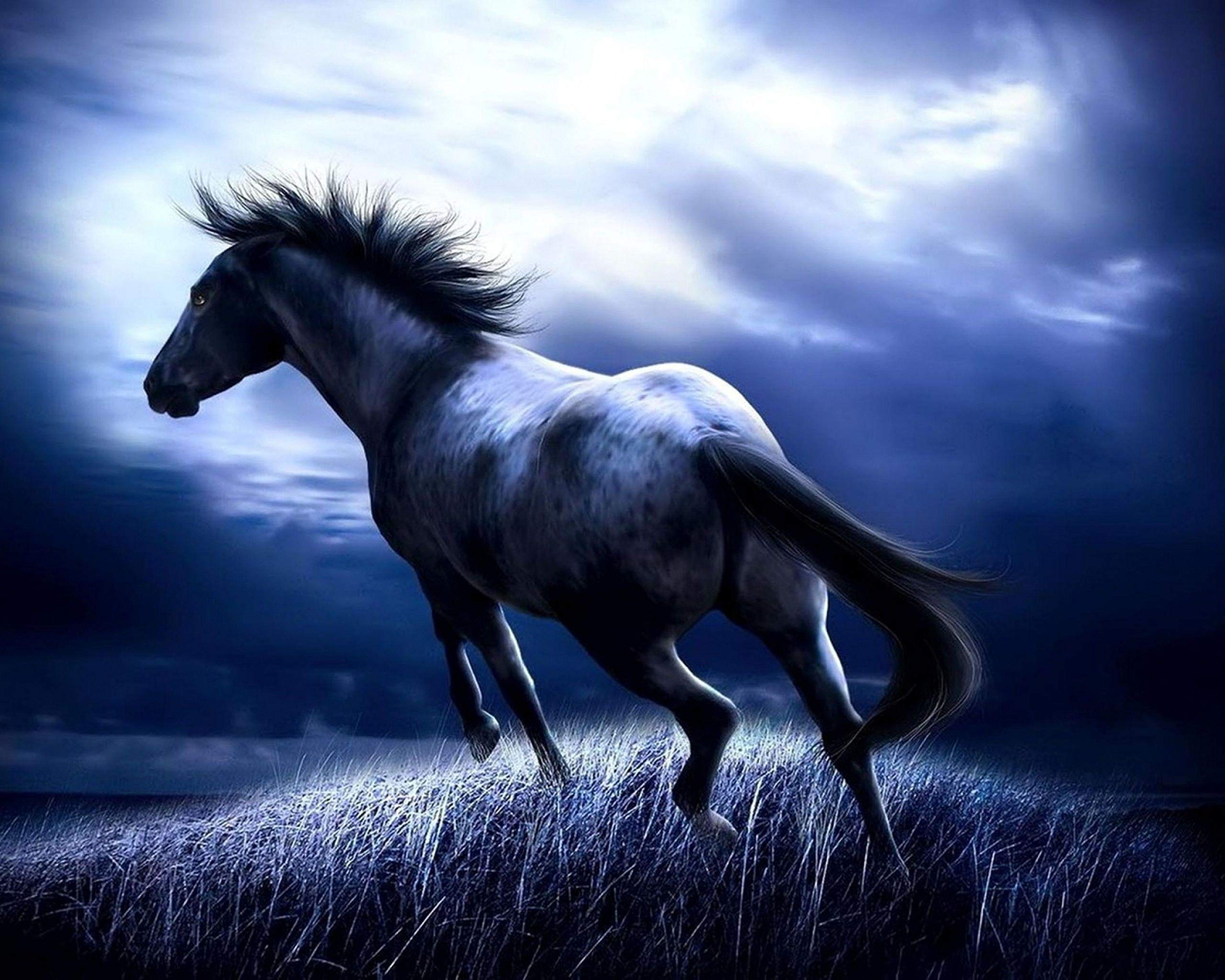 Quality Star Beautiful Poster of Painting of Horse in Night Moon