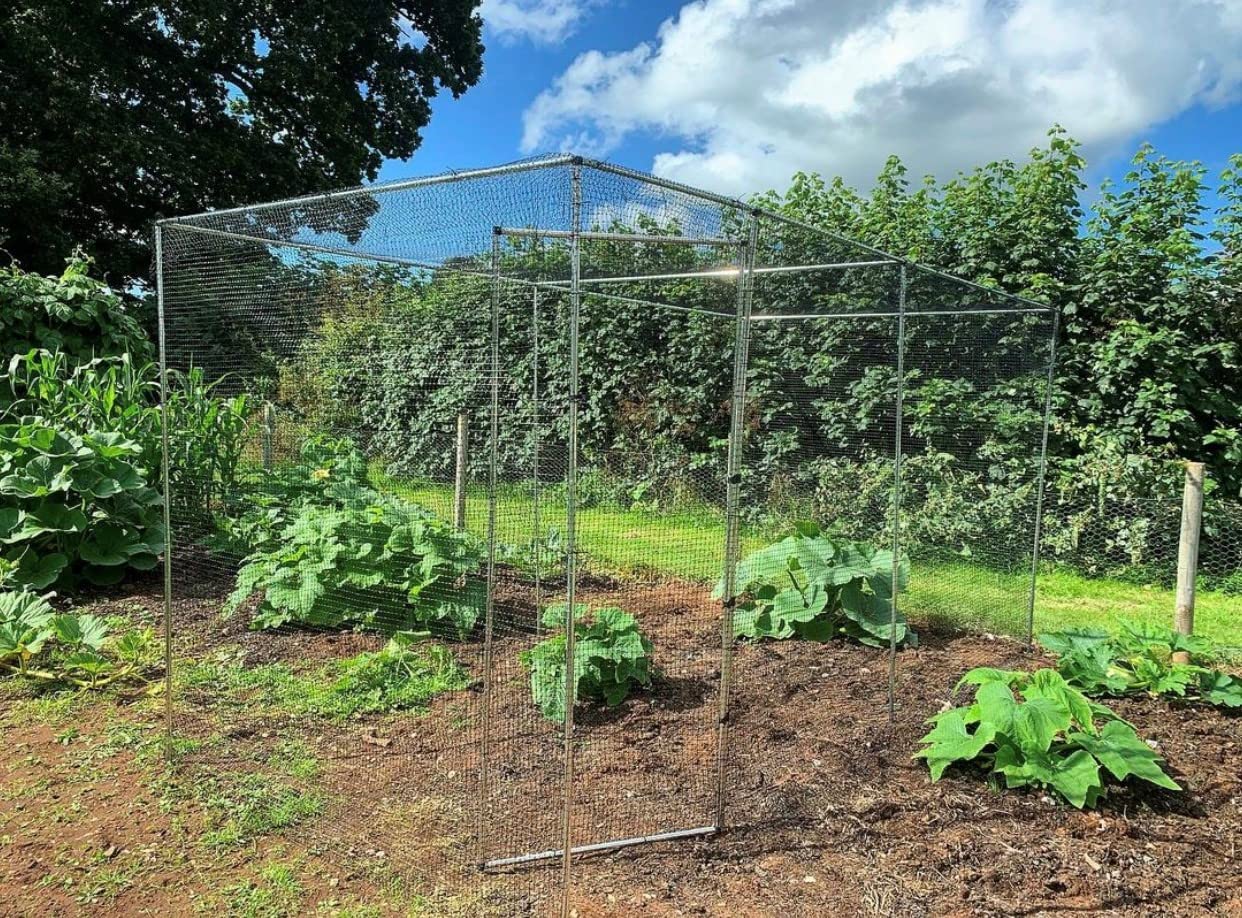 Walk in Fruit or Vegetable Cage Kit Includes Door H2 x W2 x L3 Green Soft Butterfly Netting, Pegs and Clips — view 8