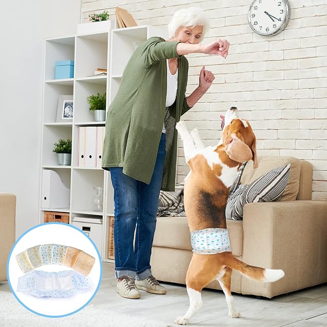 Foto 7 de 8 de Pet Soft Pañales Desechables para Perros machos, pañales para Cachorros, 48 Unidades, XS, Paquete de 1