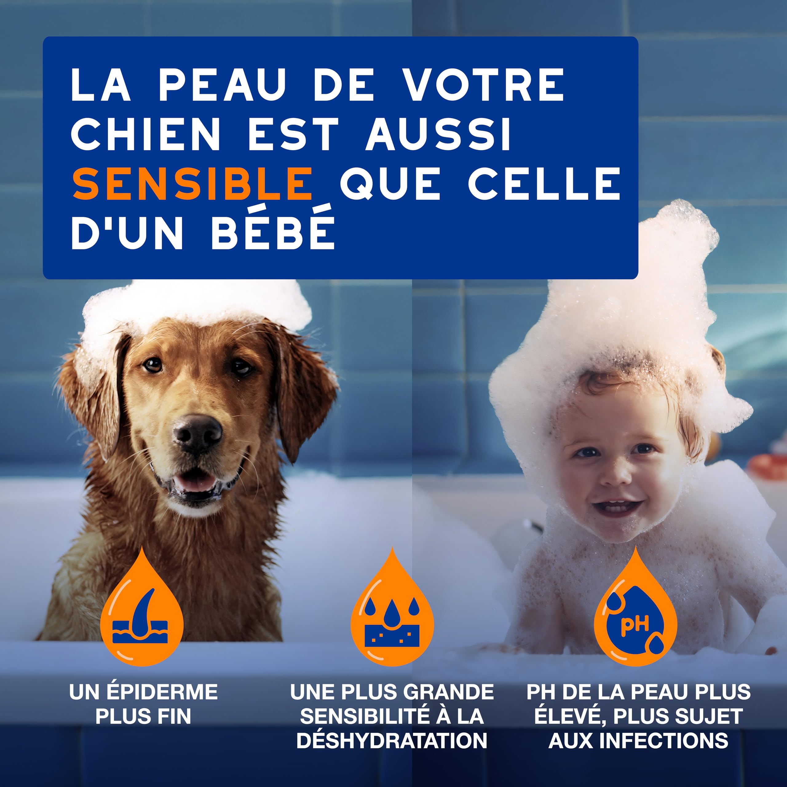 DOUXO Skin & Coat Spa - Ultra-Safe Shampoing 2 en 1 démêlant pour Chiens, 250 ML, nettoie et Hydrate en Profondeur la Peau et Le Poil, Laisse Le Pelage Doux, Soyeux et démêlé, respecte la Peau.