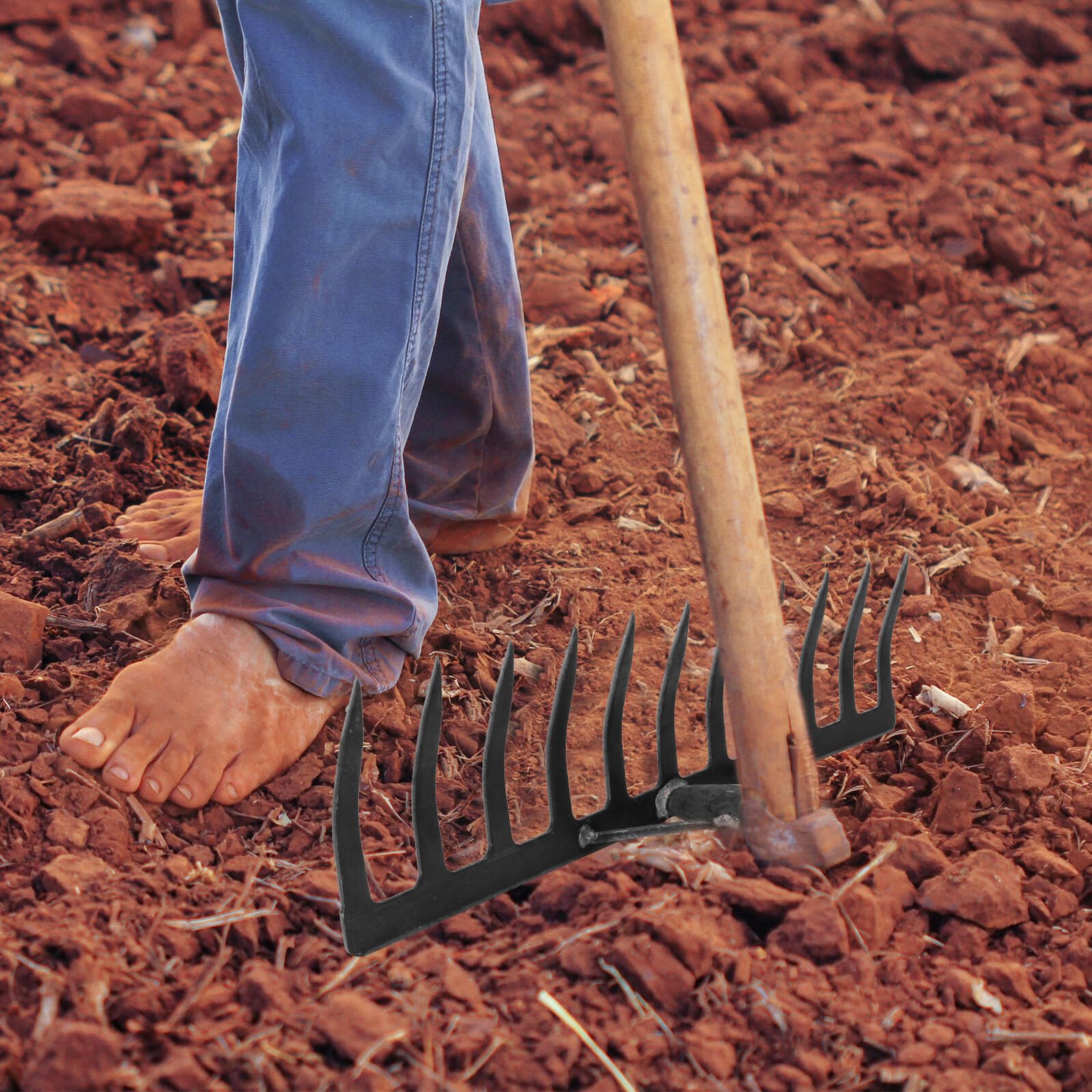 Rastrello da Giardino in Ferro a 11 Denti per Diserbo Robusto Costruzione Resistente per Lavori di Giardinaggio e Coltivazione