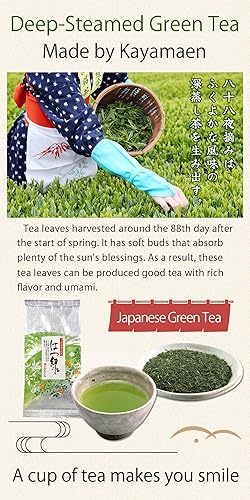 Miniatura 3 de Kayamaen Hatsumidori - Té verde japonés de hoja suelta, 3.5 oz (100 g) Té verde tradicional japonés
