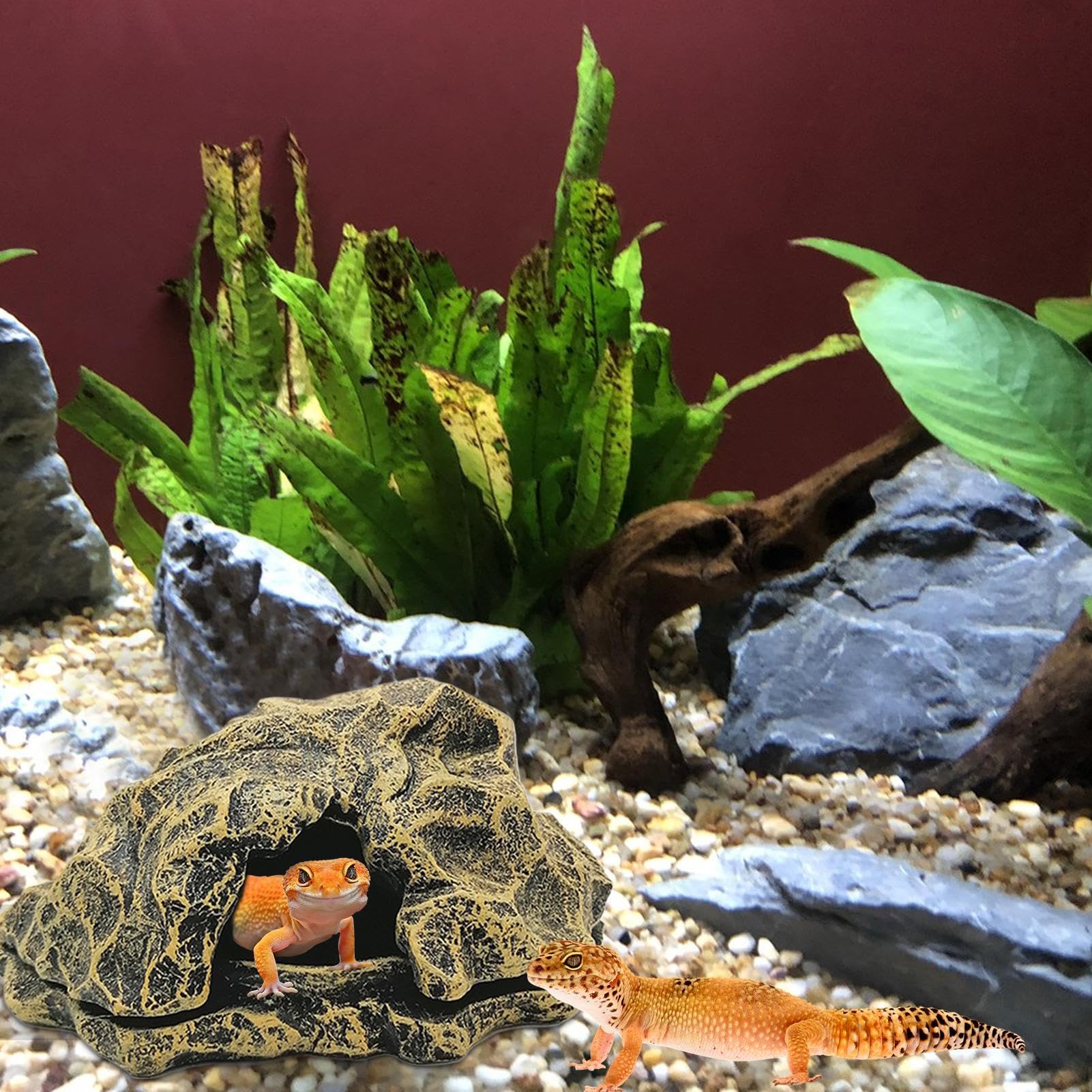 Tana Per Rettili | Roccia Finta in Resina Caverna per Drago Barbuto per Terrario | per Acquario Paesaggio Zona per Prendere il Sole Decorazione per Tartarughe d'Acqua Gamberi Granchi