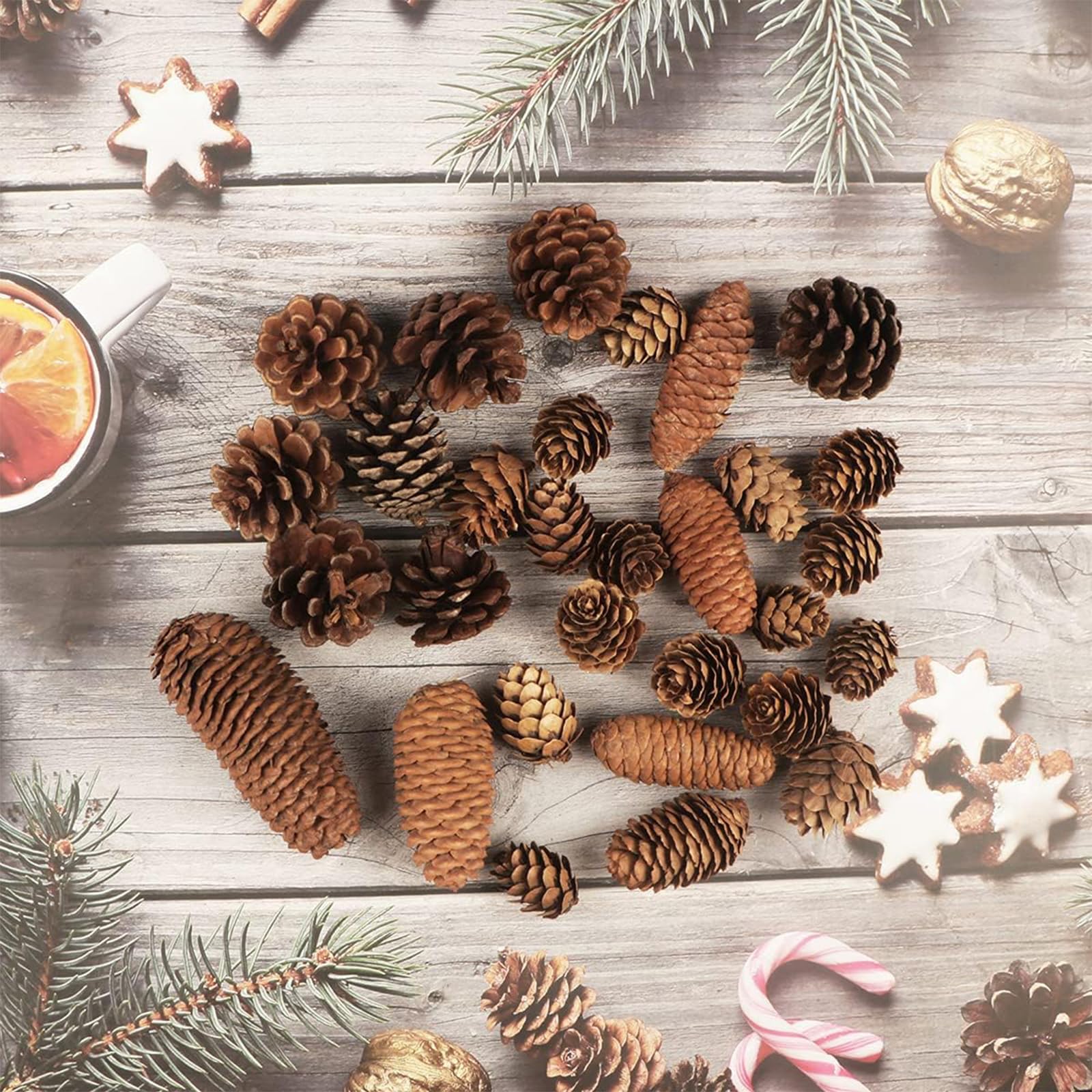 Dennenappels naturel - Only Deco