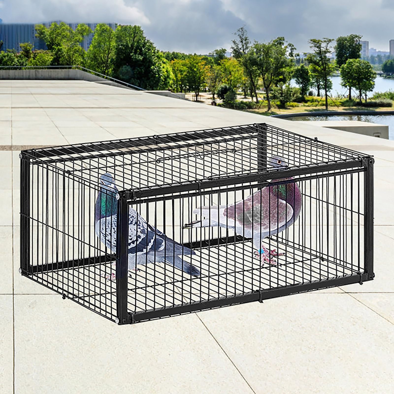Trap Pigeon Cage Animal Trap - 42x40x26cm Bird Trap Cage with 2 One-way Entrances and Skylights for Easy Assembly and Cleaning - Control Pigeon Problems with this Trap Cage
