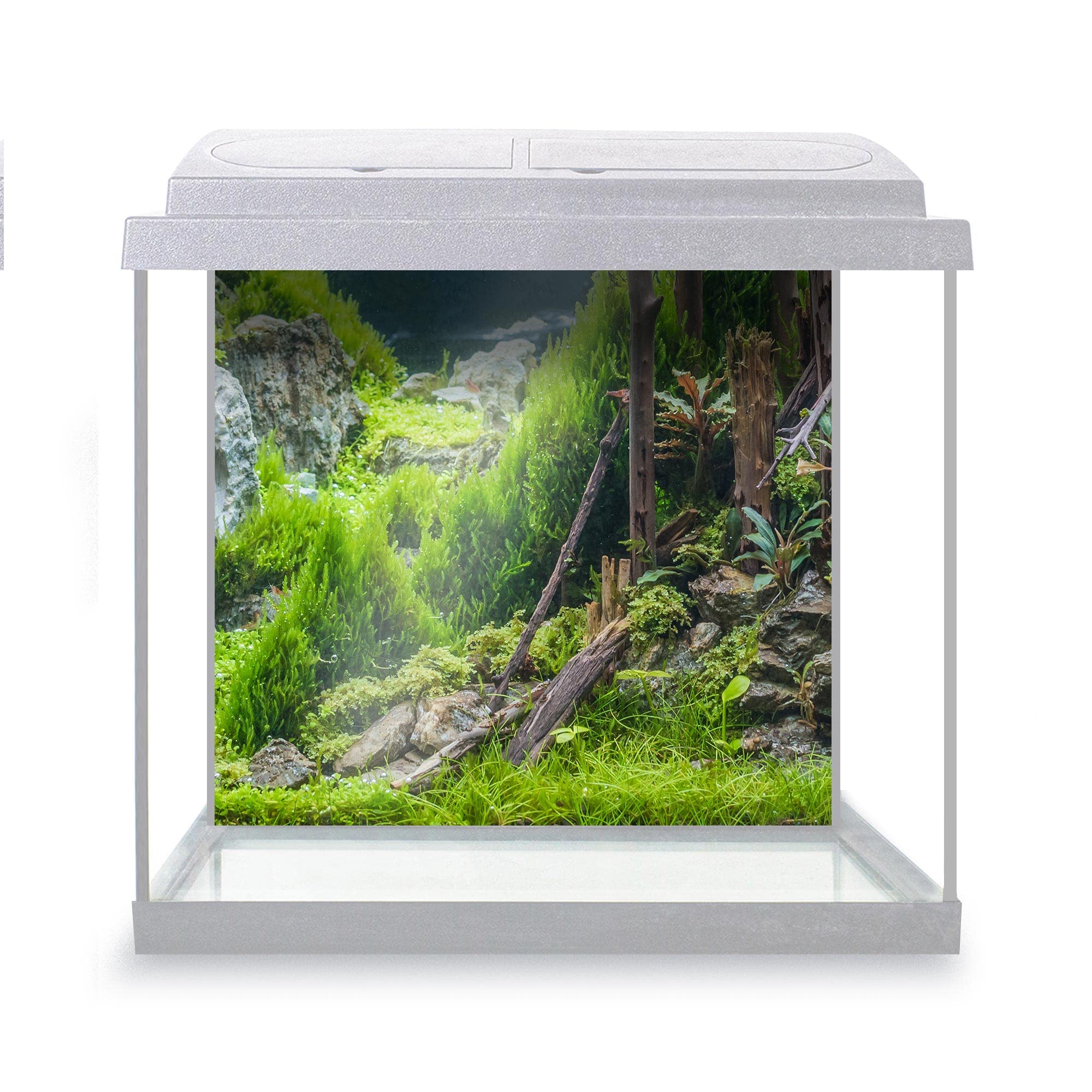 DV DESIGN Aquarium Fish Tank Background 52x47 cm - Forest Nature Style Tank Variety Aquatic Plants Moss Aquatic Image Static Cling Vinyl Vivarium Terrarium External Application #500004