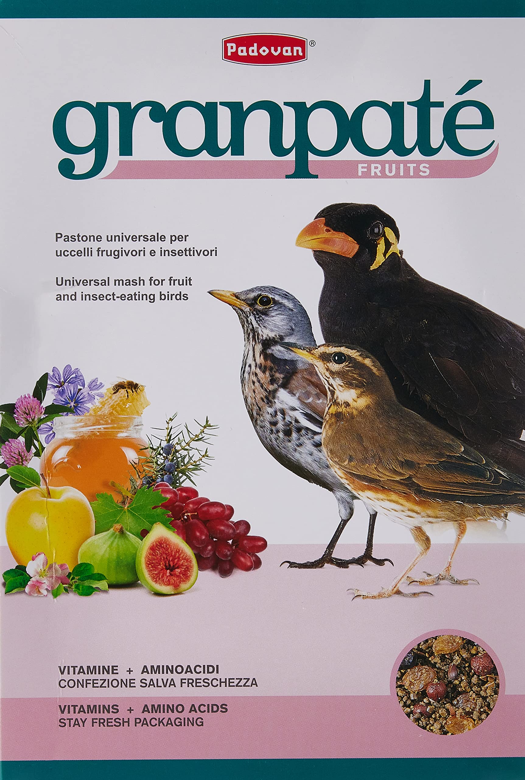 Padovan GranPâtée Fruits Feed, Multi-Colour, 1 KG, PP00192