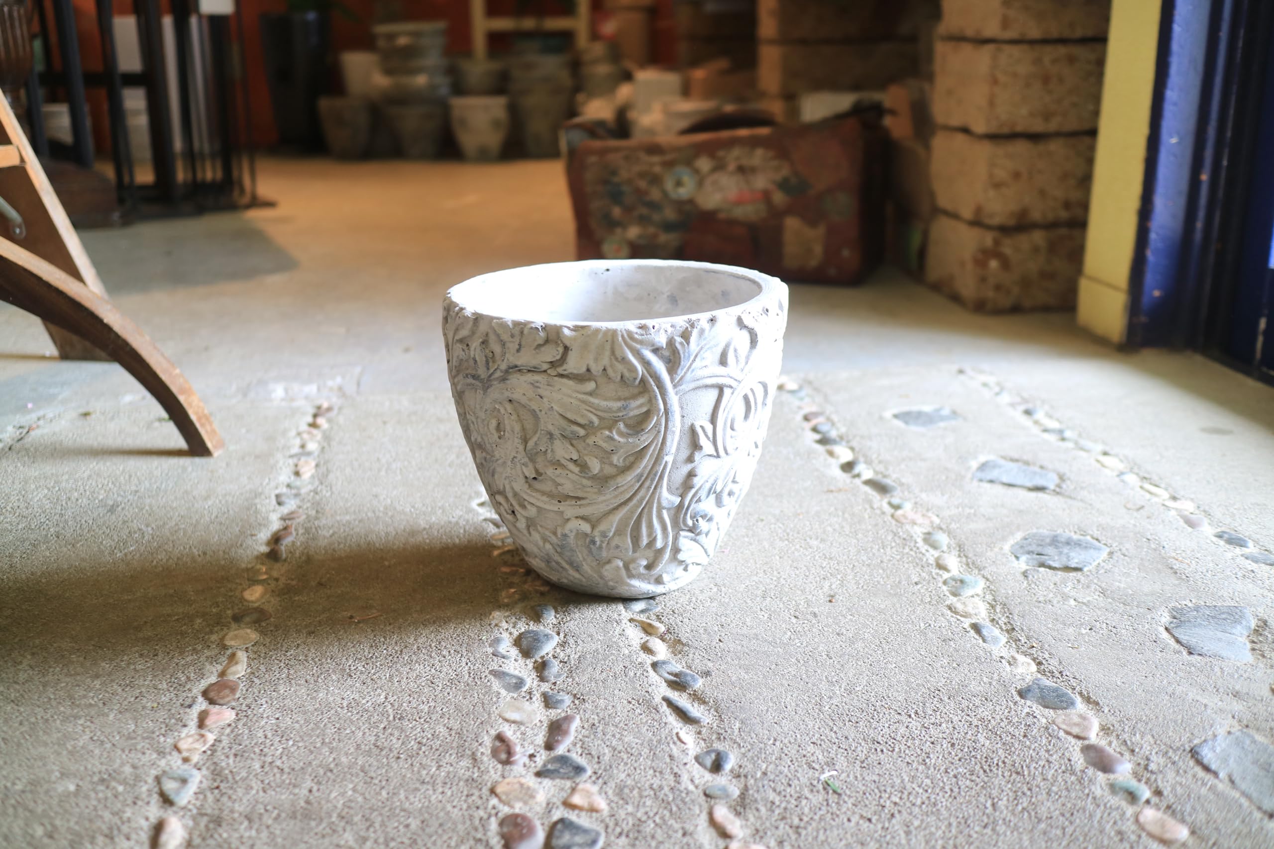 Amazon.co.jp: bee's knees bis ちょっと大きな♡ユーカリ ポポラスの