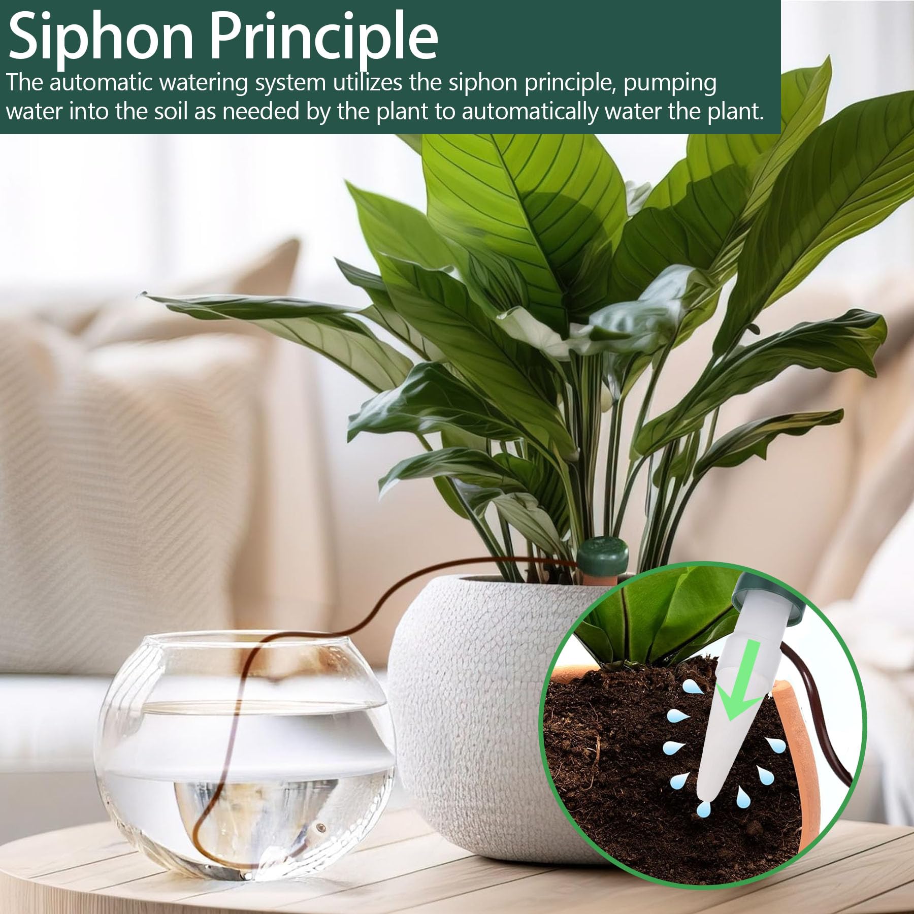 YeahBoom 6 Piezas Mecanismo para riego automático,Dispensador de Agua para Plantas de Interior,Goteo para Plantas Grandes,Cono de Arcilla con Manguera como Sistema de Goteo,Regar Plantas Vacaciones