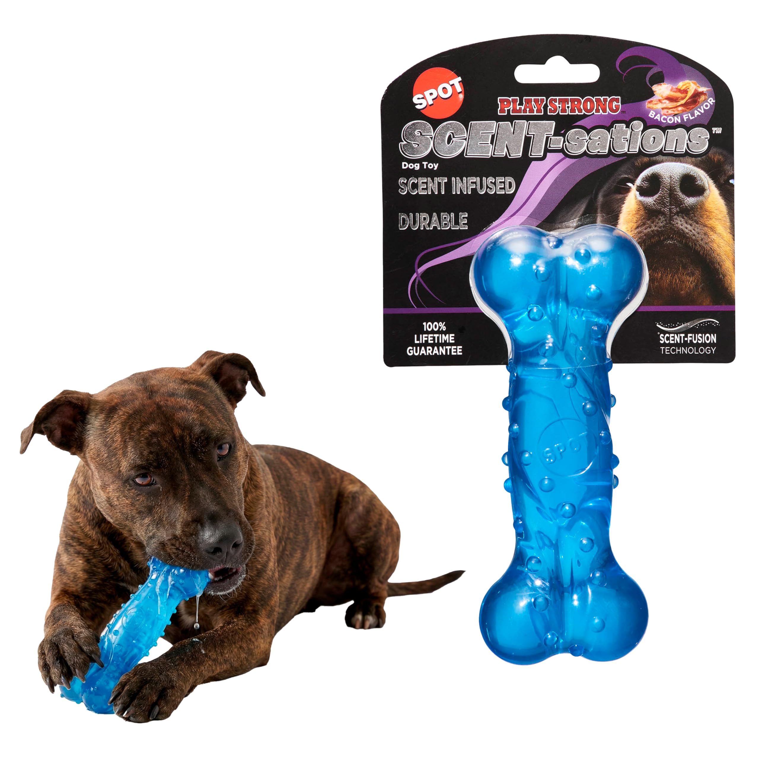 SPOT Play Strong Scent-sations Bone - Scent-Infused, Strong, Durable TPR Rubber, Heavy Duty Dog Toys for Aggressive Chewers up to 45lbs, Perfect for Puppies & Medium Breeds, 6in, Bacon Flavored