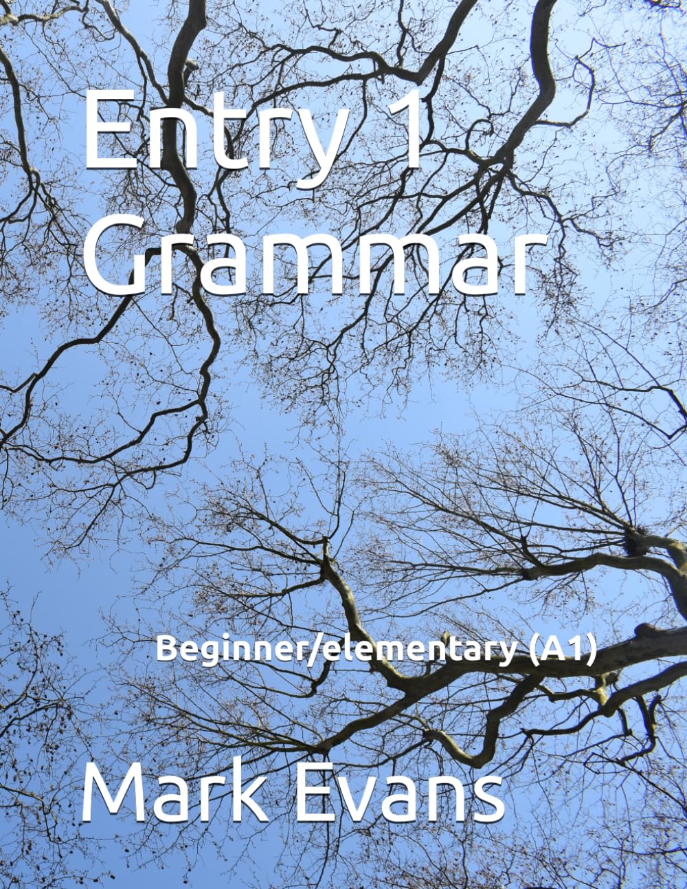 Entry 1 Grammar