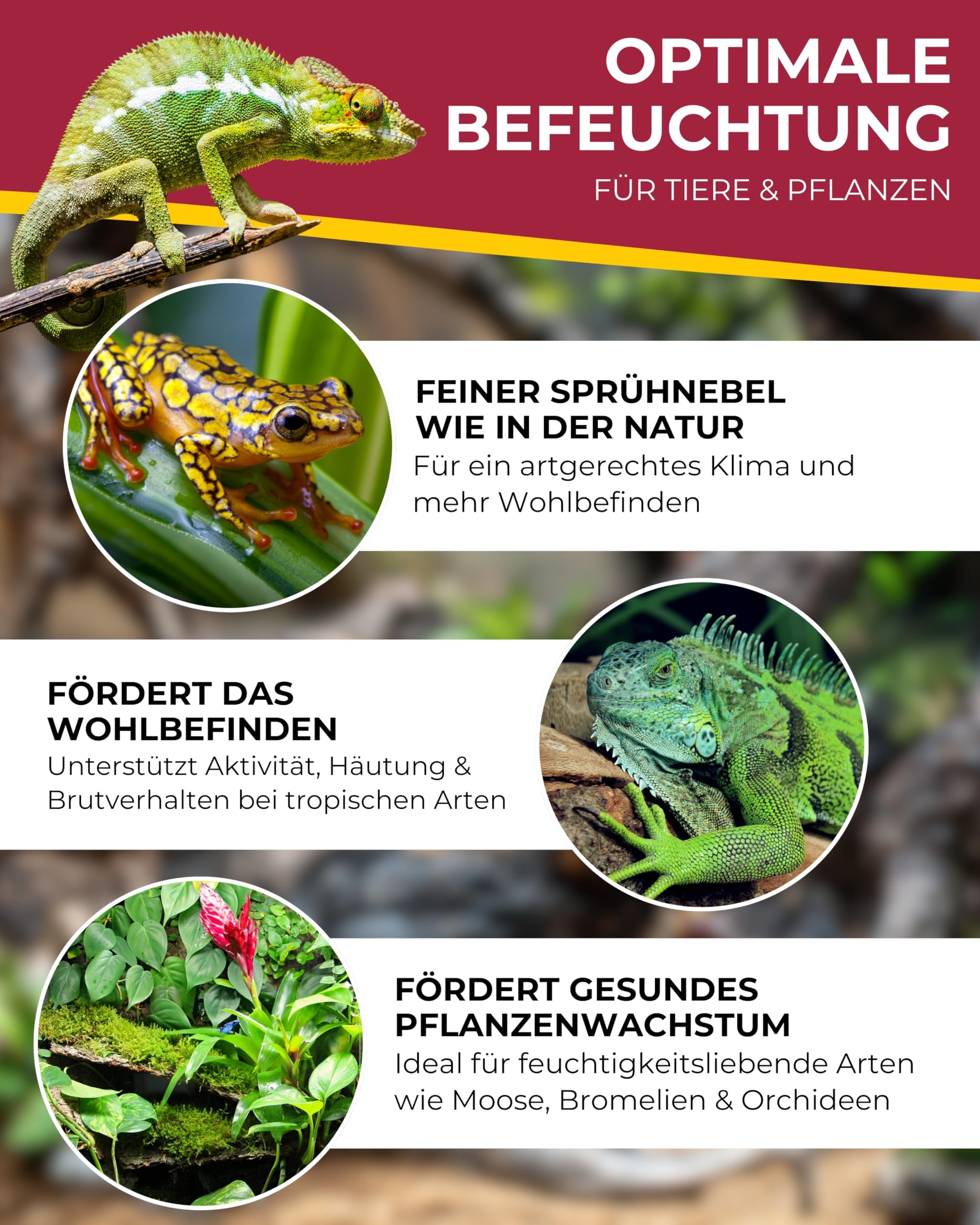Hobby Terraristik Hygro Fog System I automatische Benebelungsanlage für Terrarien I inkl. Controller, Sensor und Fernbedienung I Terrarium Luftbefeuchter I effizientes und leises Benebelungssystem