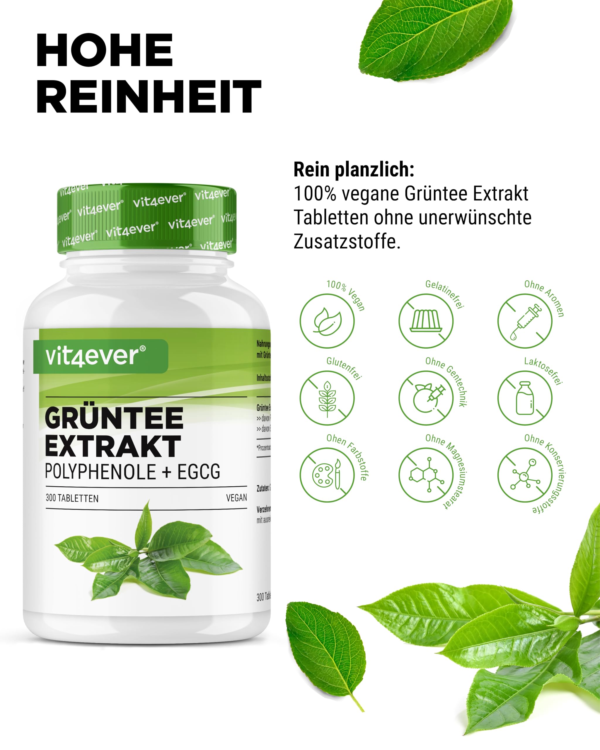 vit4ever Grüntee Extrakt 300 Tabletten - Hochdosiert mit 2000mg Grüner Tee Extrakt, 300 mg EGCG & 1000 mg Polyphenole pro Tagesdosis - Green Tea - Vegan - Ohne unnötige Zusätze