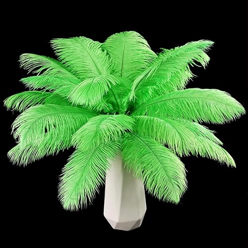 THARAHT Plumas de avestruz verde, 24 piezas naturales a granel de 8-10 pulgadas de 20 a 9.8 in, para manualidades, bodas, fiestas, centros de mesa,