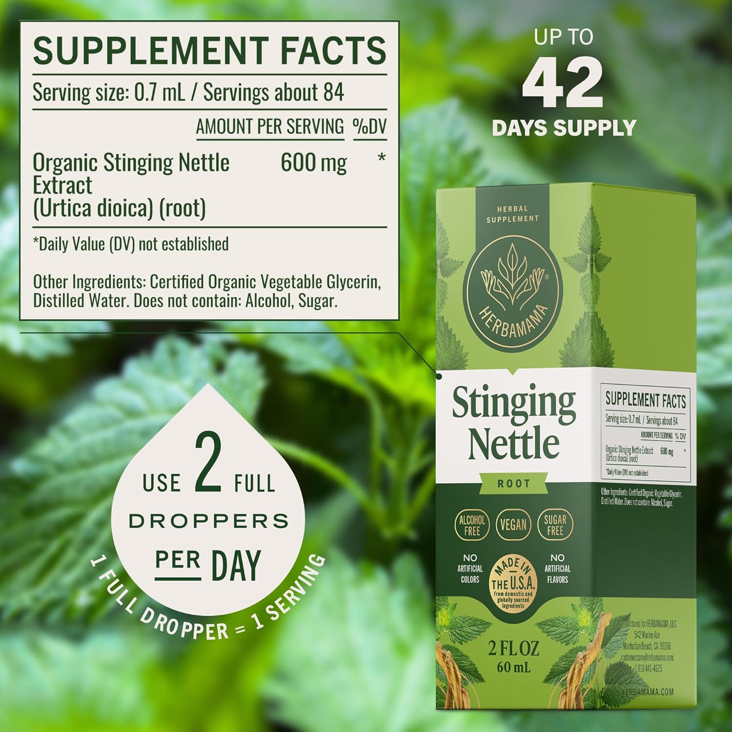 HERBAMAMA Stinging Nettle Tincture - Vegan Urinary Tract Support with Stinging Nettle Root Extract - Non-GMO, Alcohol & Sugar-Free Urtica Dioica Supplement - 42-Day Supply - Image 3