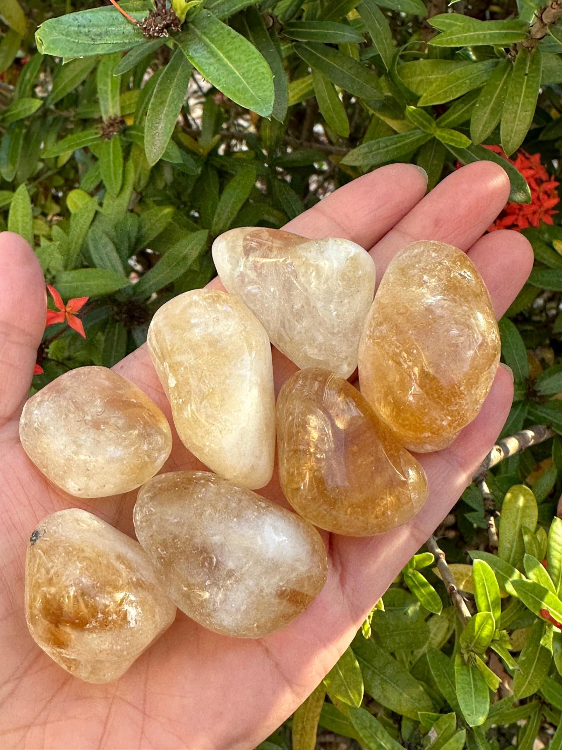 GAF TREASURES Wholesale Citrine Pebble, Large Citrine Tumbled Stone, Natural Polished Citrine Crystals, Citrine Palm Stone, Citrine Healing Crystals (Citrine, 0.25 Pound)