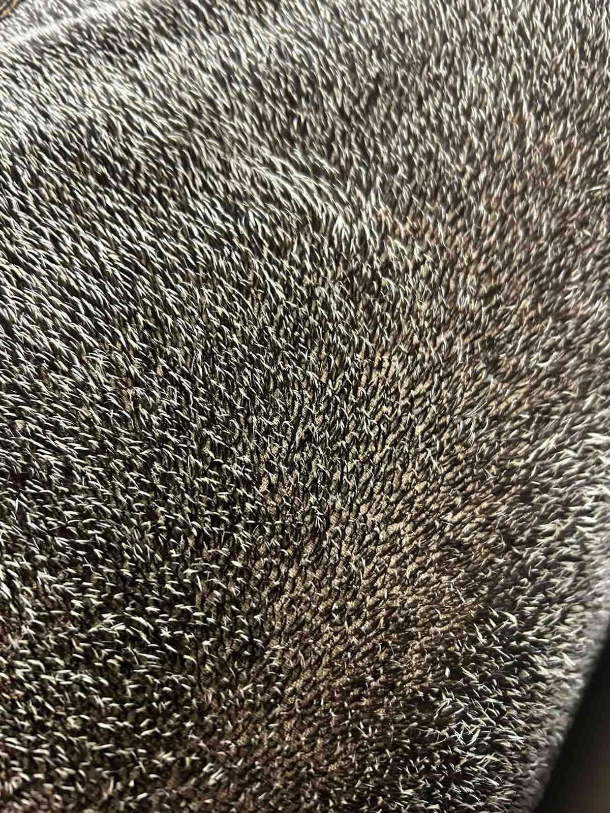 German-Made Hedgehog Realistic Mohair Fabric - Premium Quality, Article 20121,Felting Hedgehog Creation (25 * 17.5cm)…