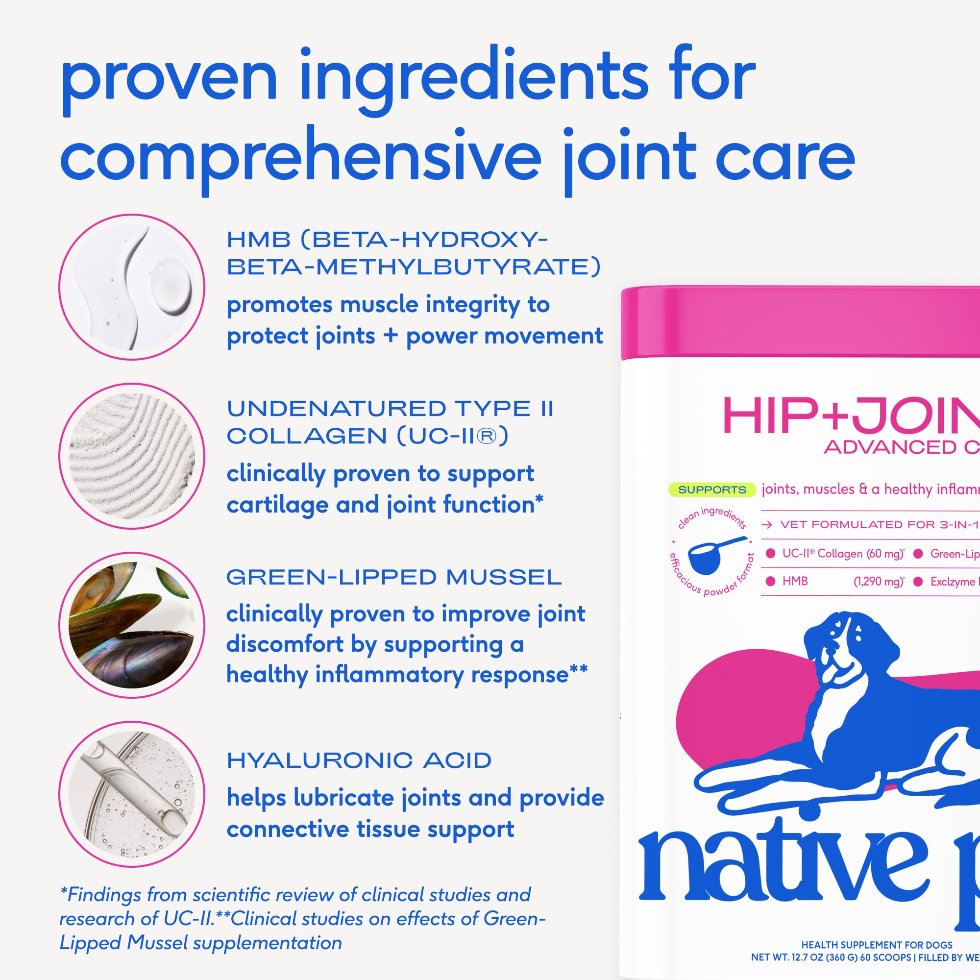 Native Pet Hip & Joint Advanced Care Dog Joint Supplement Powder for Mobility & Movement Support, Joint Supplement for Dogs with HMB, UC-II Collagen, Green Lipped Mussel & Hyaluronic Acid – 30 Scoops - image 5