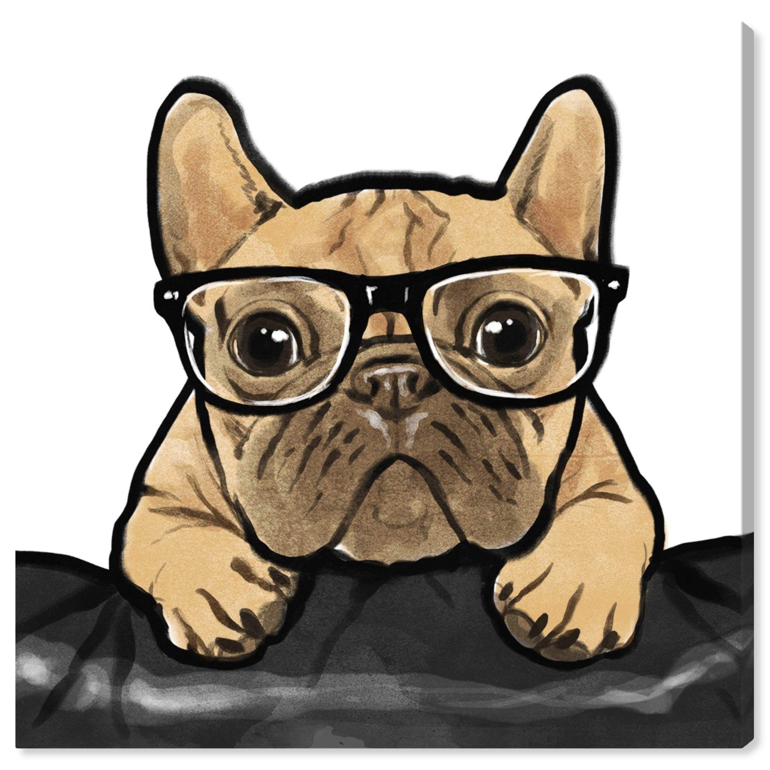 Amazon.co.jp: Oliver Gal(オリバーガル) 