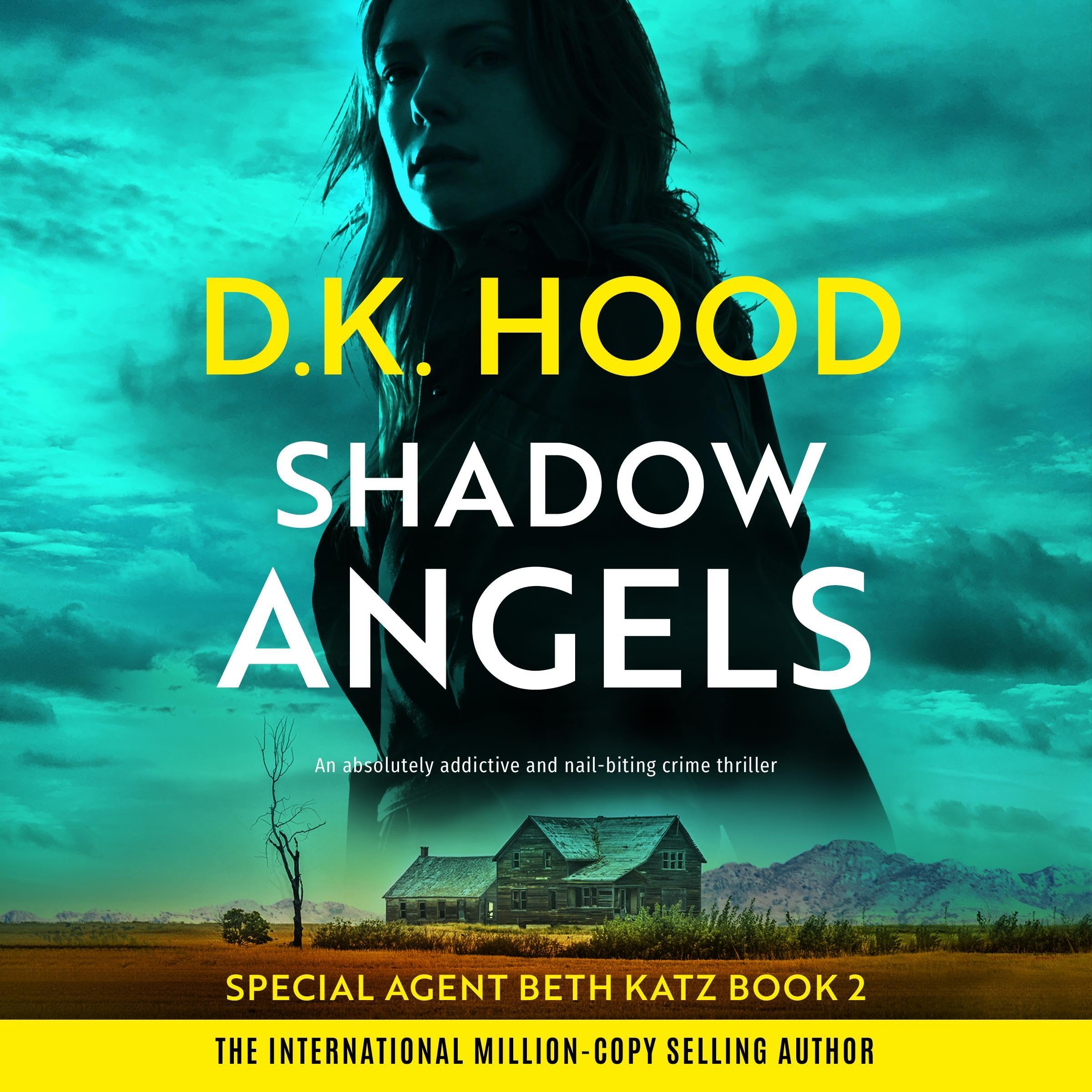 Cover art for Shadow Angels