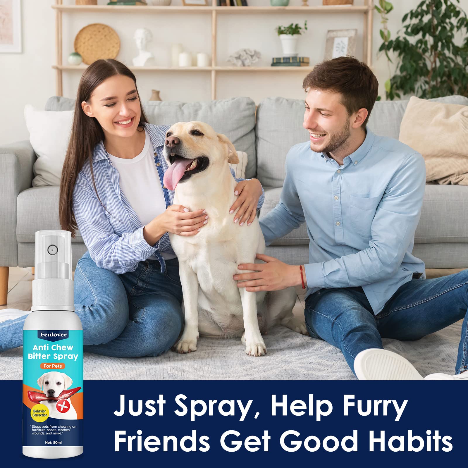 How Can I Get My Dog To Stop Licking The Couch