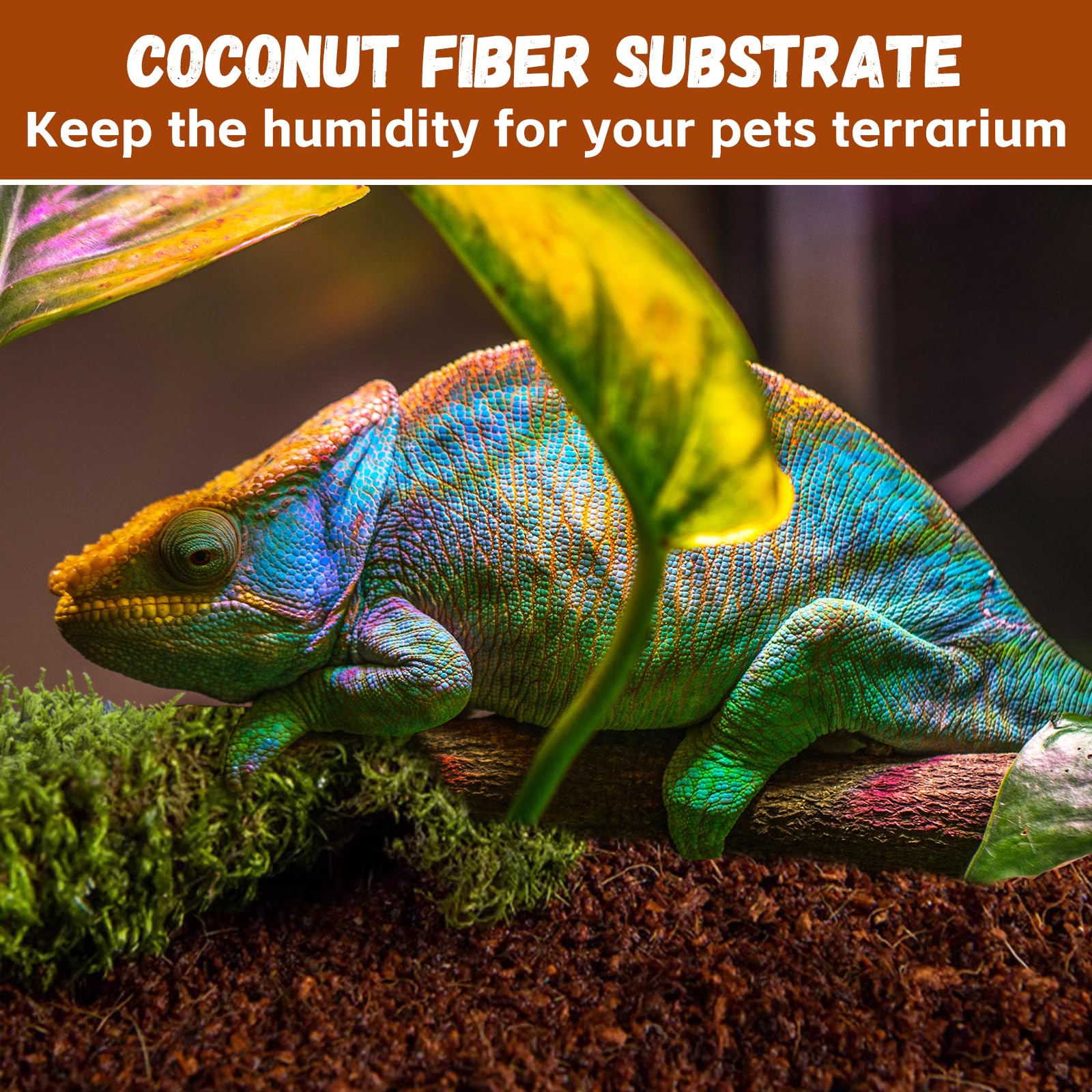 Legigo 6 Pack Compressed Coconut Fiber Substrate - 100% Organic Coconut Fiber Brick Bedding for Reptiles, Natural Coco Husk Substrate Terrarium Bedding for Snake, Hermit Crabs, Frogs, Tortoise, Gecko - image 7