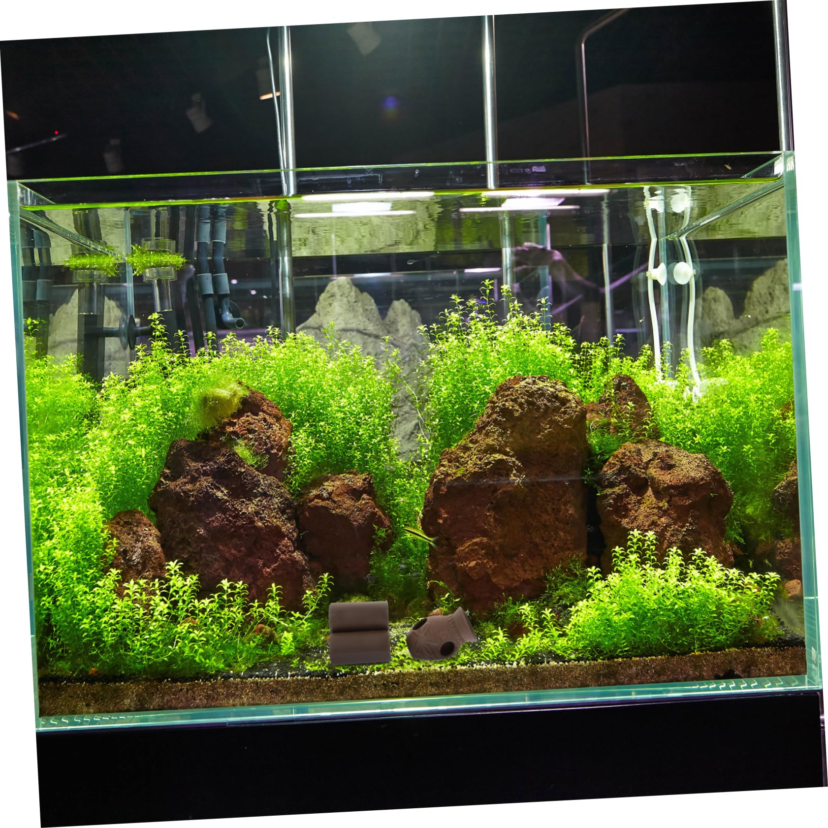 Lot De 2 Cachettes Pour Crevettes D'aquarium – Ornement Noir En Plastique – Refuge Pour Crevettes Et Petits Poissons