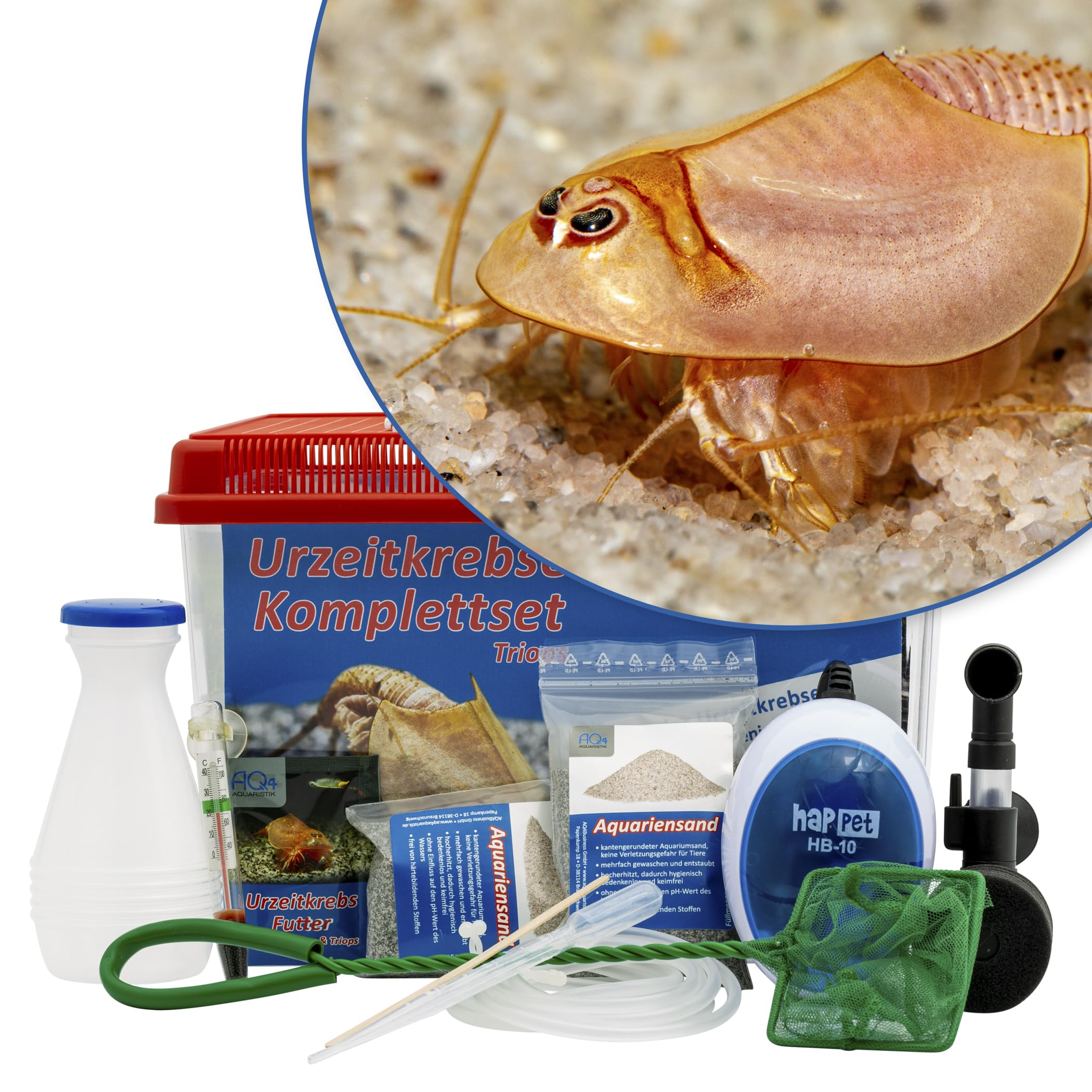 Triops longicaudatus (rot) Komplettset 6 l, Urzeitkrebs-Eier, mit Aquarium