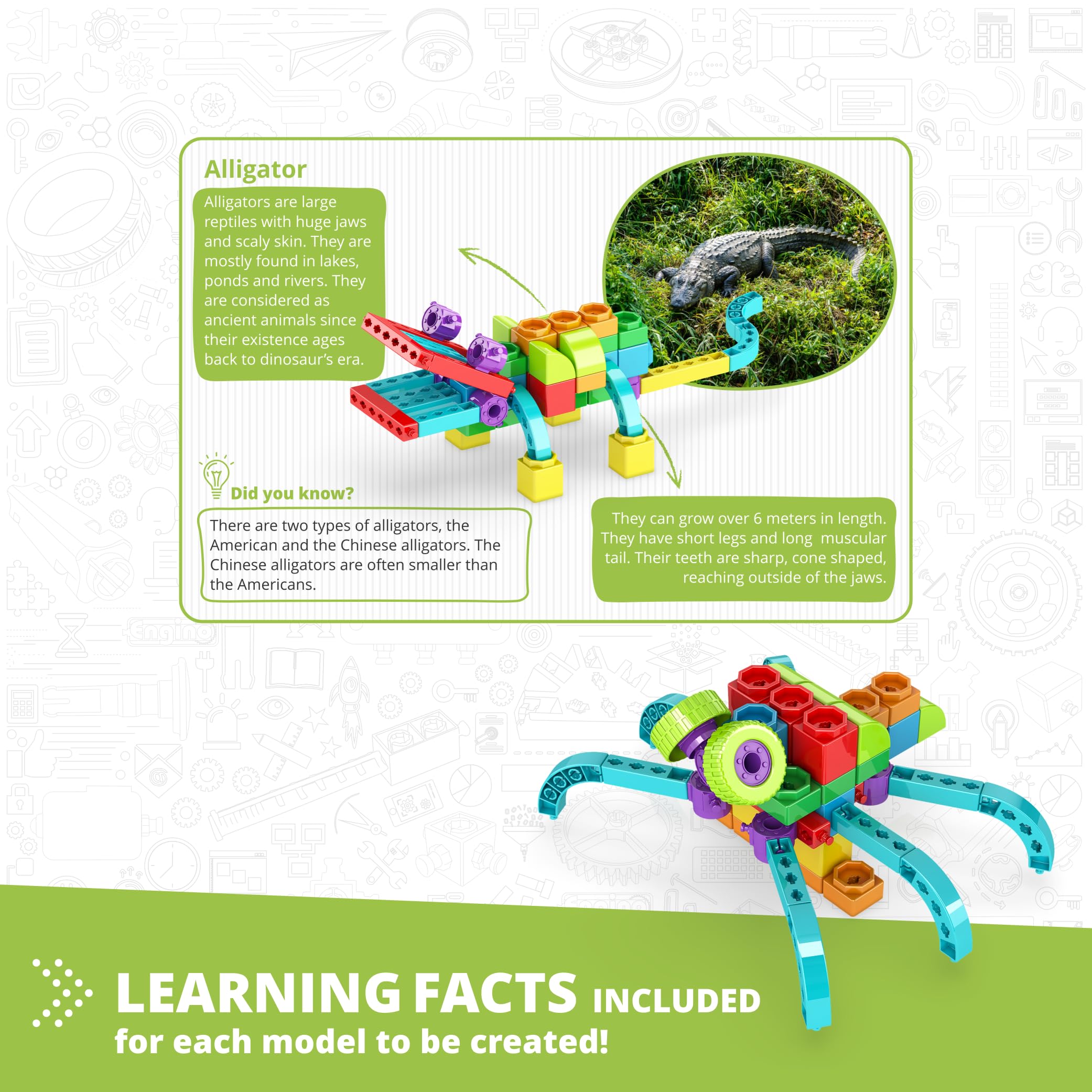 Engino Qboidz Alligator with 5 Bonus Models Building Blocks, Multicolor - Image 4