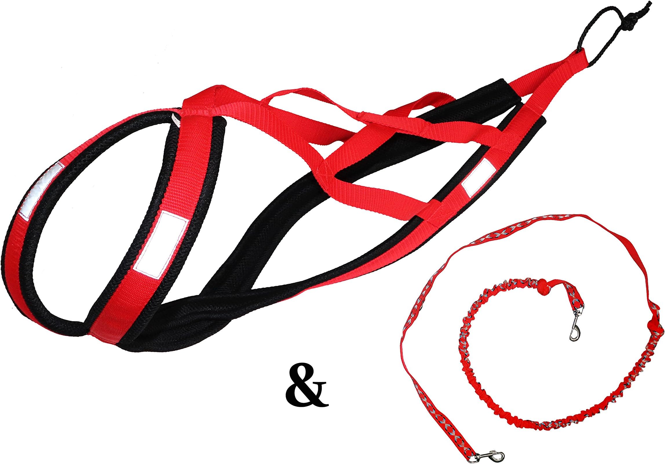 Weight Pulling Dog Harness, X-Back for Canicross, Sled, Scooter, Bike-, Ski-Joring, including a Free Hands Leash… red (S)