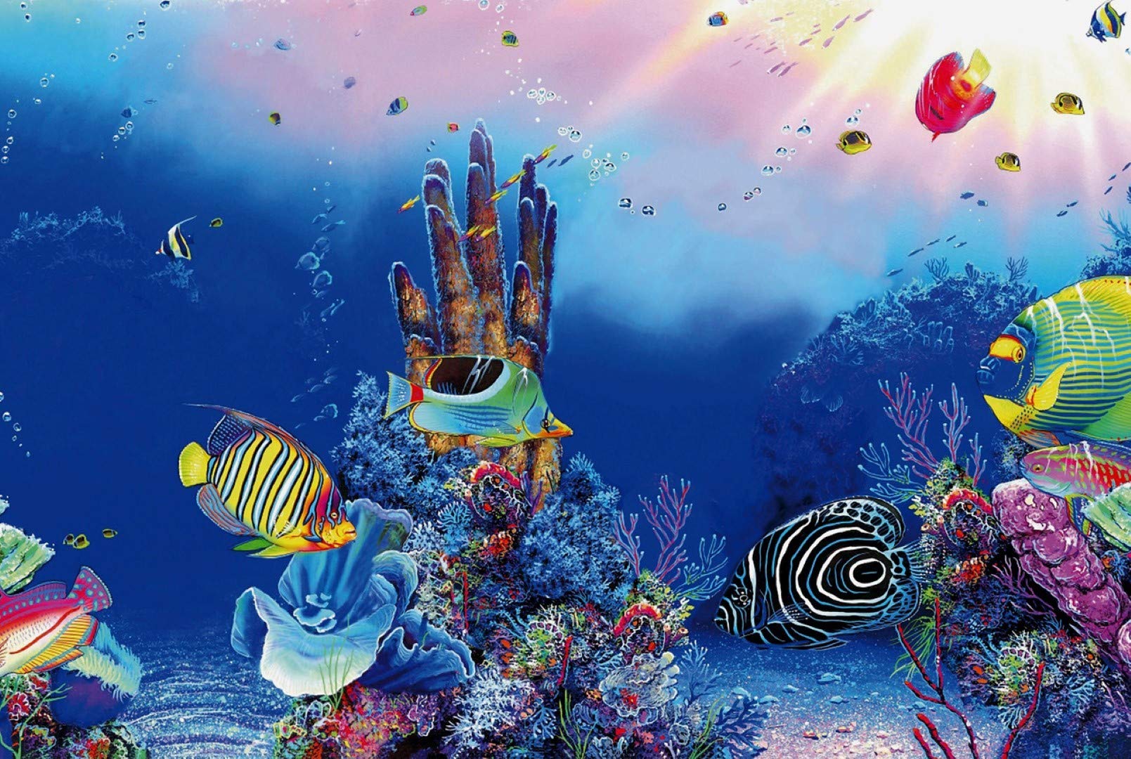 Superfish Deco Poster F3 100cm x 49cm (Sea/Reef) Aquarium Background