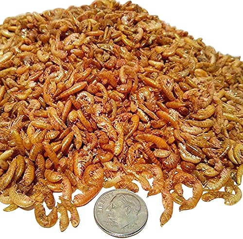 Miniatura 3 de Aquatic Foods Inc. Camarones Gammarus liofilizados. Ideal para todos los peces tropicales, peces marinos, cíclidos, carnívoros, discos, peces de