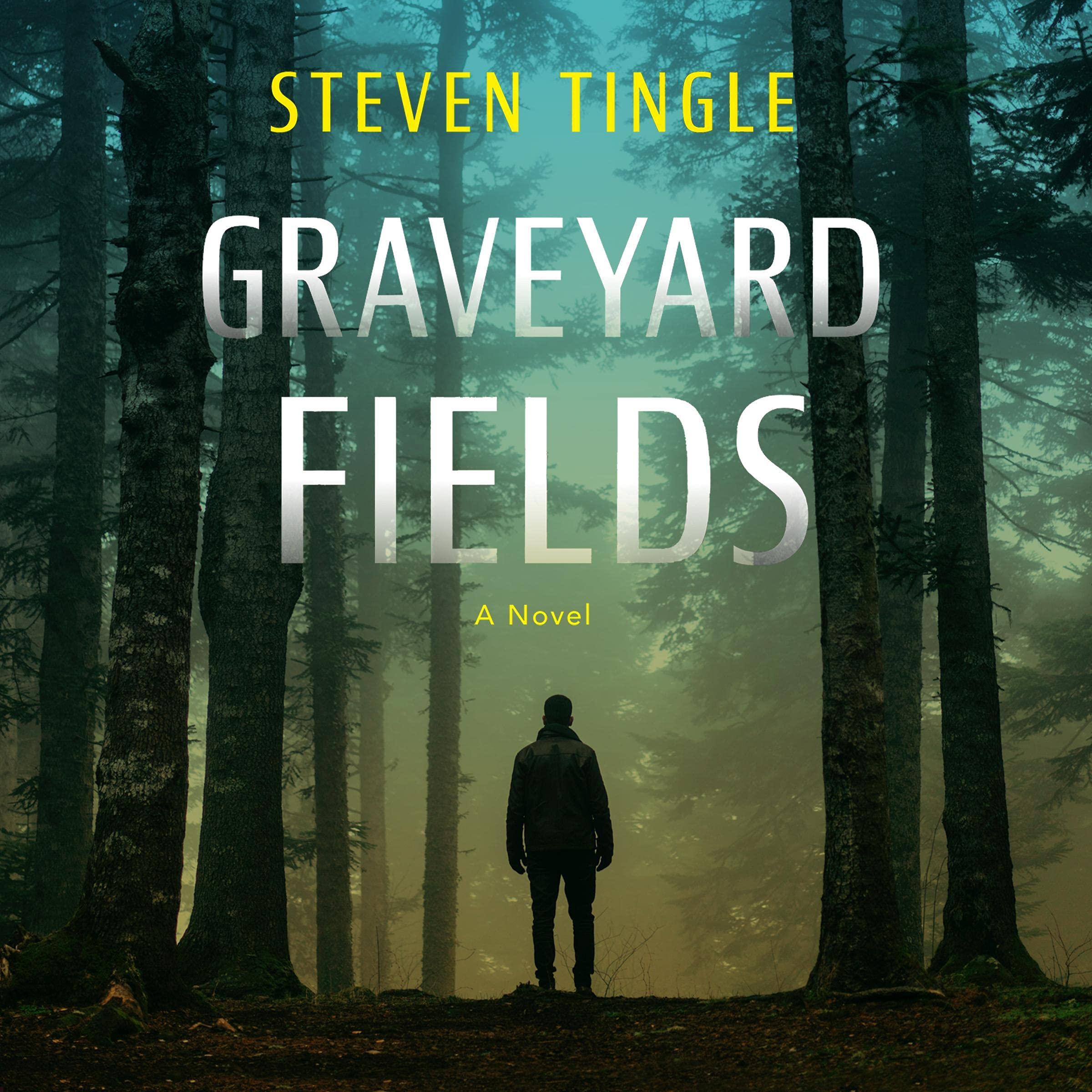 Cover art for Graveyard Fields