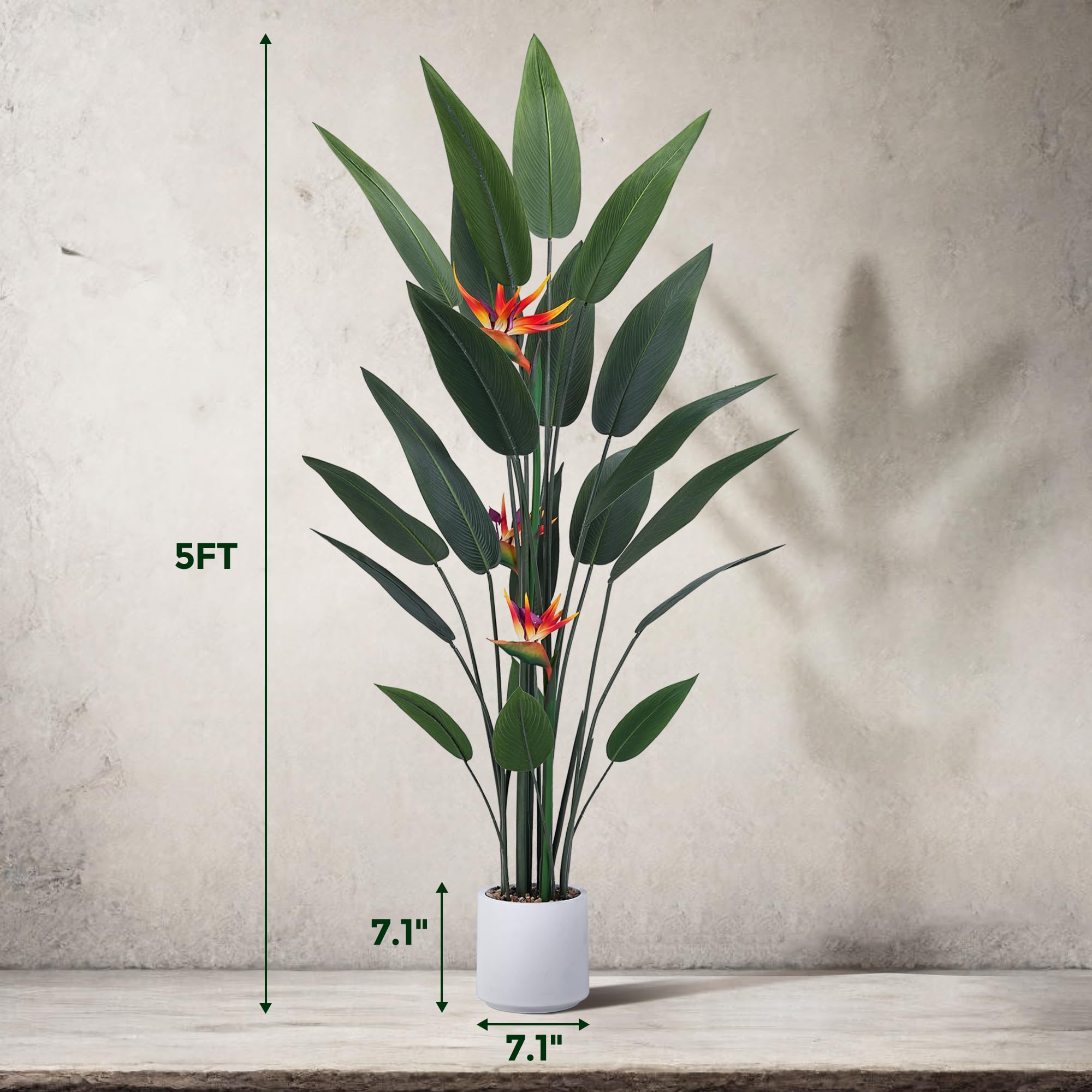 Amazon.com: Jocoevol Artificial Bird of Paradise Plant 60in(5Ft