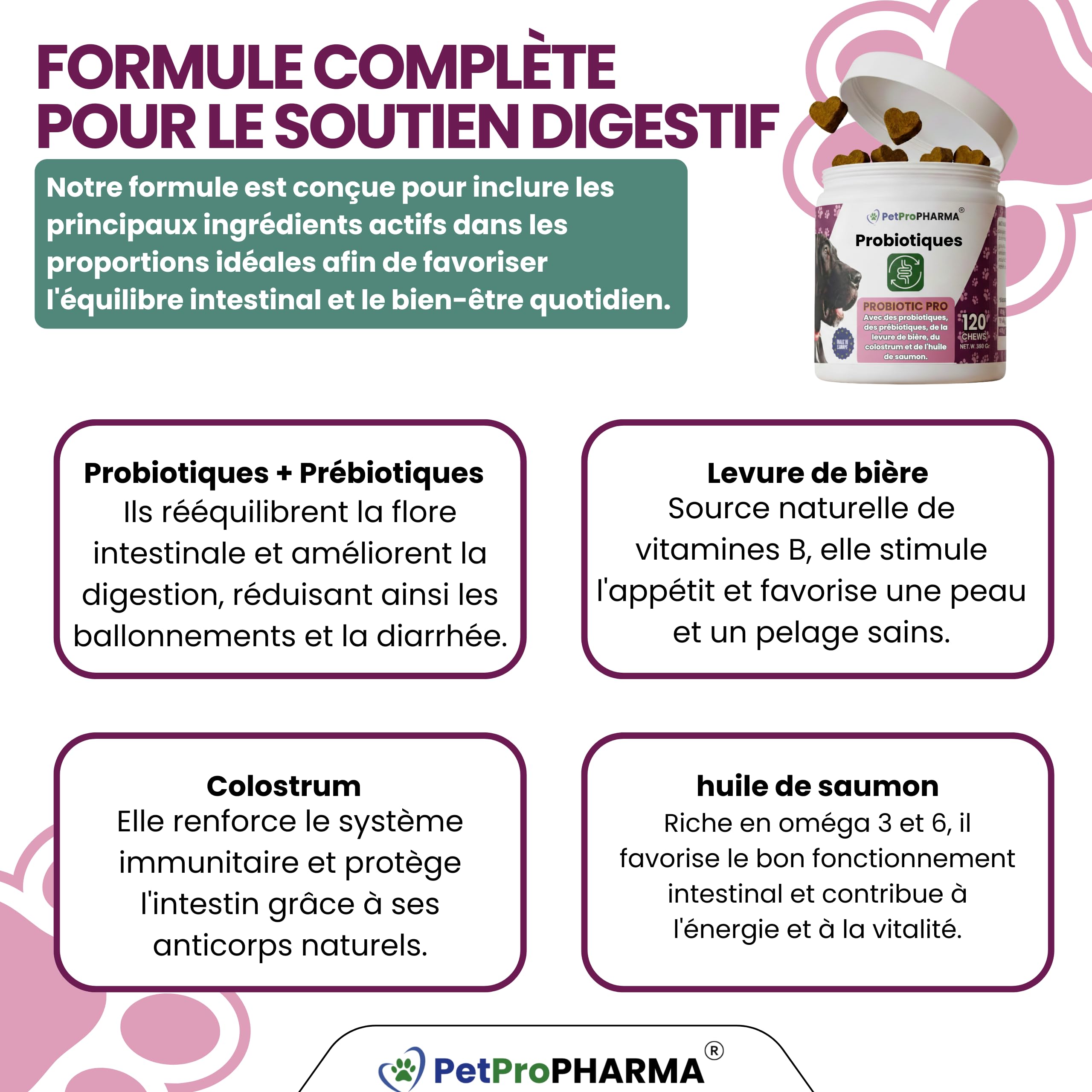 Probiotique Chien et Chat – Souches Actives + Prébiotiques Naturels | Flore Intestinale, Digestion, Selles Régulières, Immunité Renforcée | Complément Digestion & Santé Intestinale
