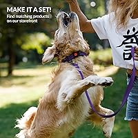 Vista 25 de CollarDirect Reflective Dog Collar for a Small, Medium, Large Dog or Puppy with a Quick Release Buckle - Boy and Girl - Nylon Suitable for Swimming