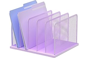 Kuntine.B Purple File Organizer for Desk