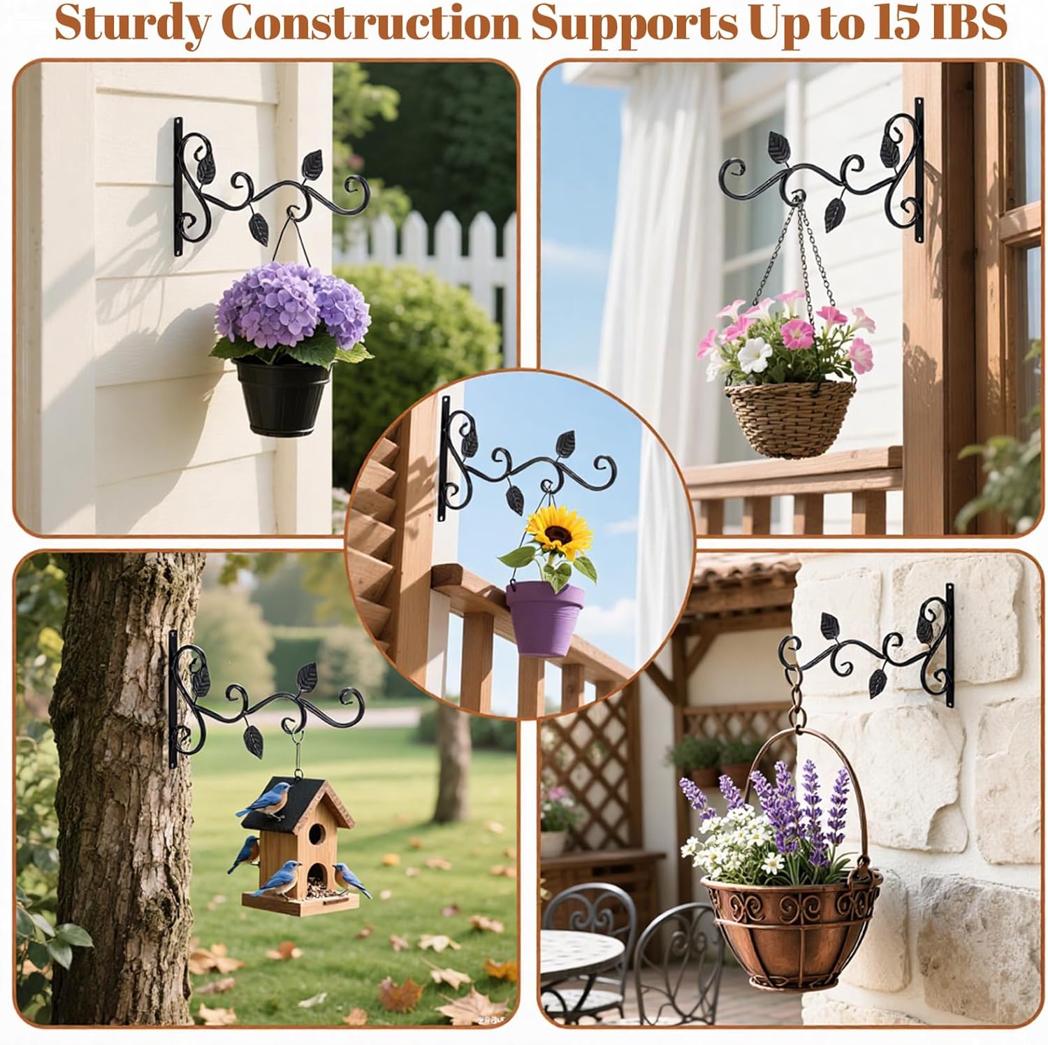 6 Pack Hanging Plant Brackets 12-Inch, Black Iron Wall Hooks for Planters, Lanterns, Bird Feeders & Wind Chimes Indoor/Outdoor