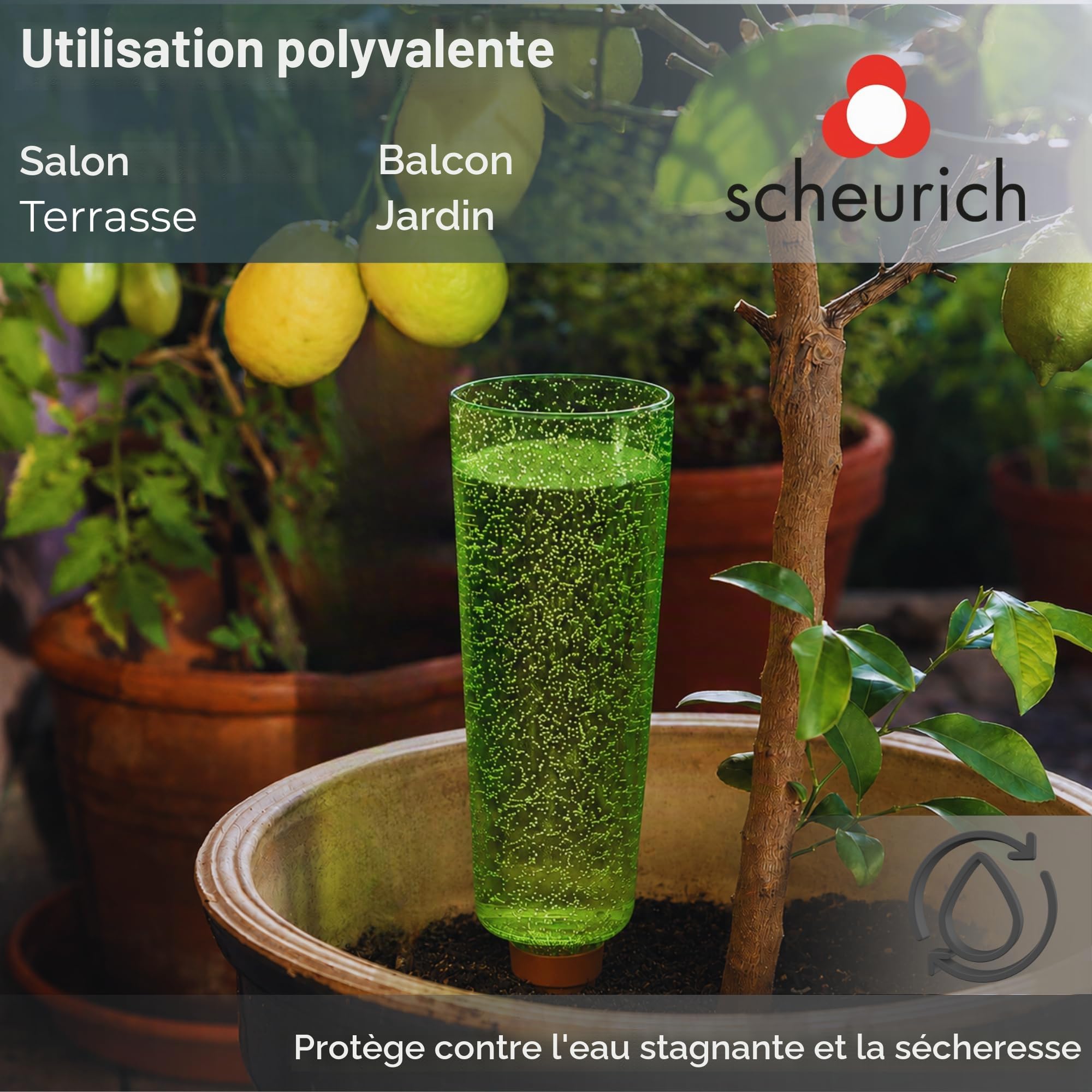 Scheurich Copa XL Distributeur d'eau arrosage Boule Vert transparent XL vert