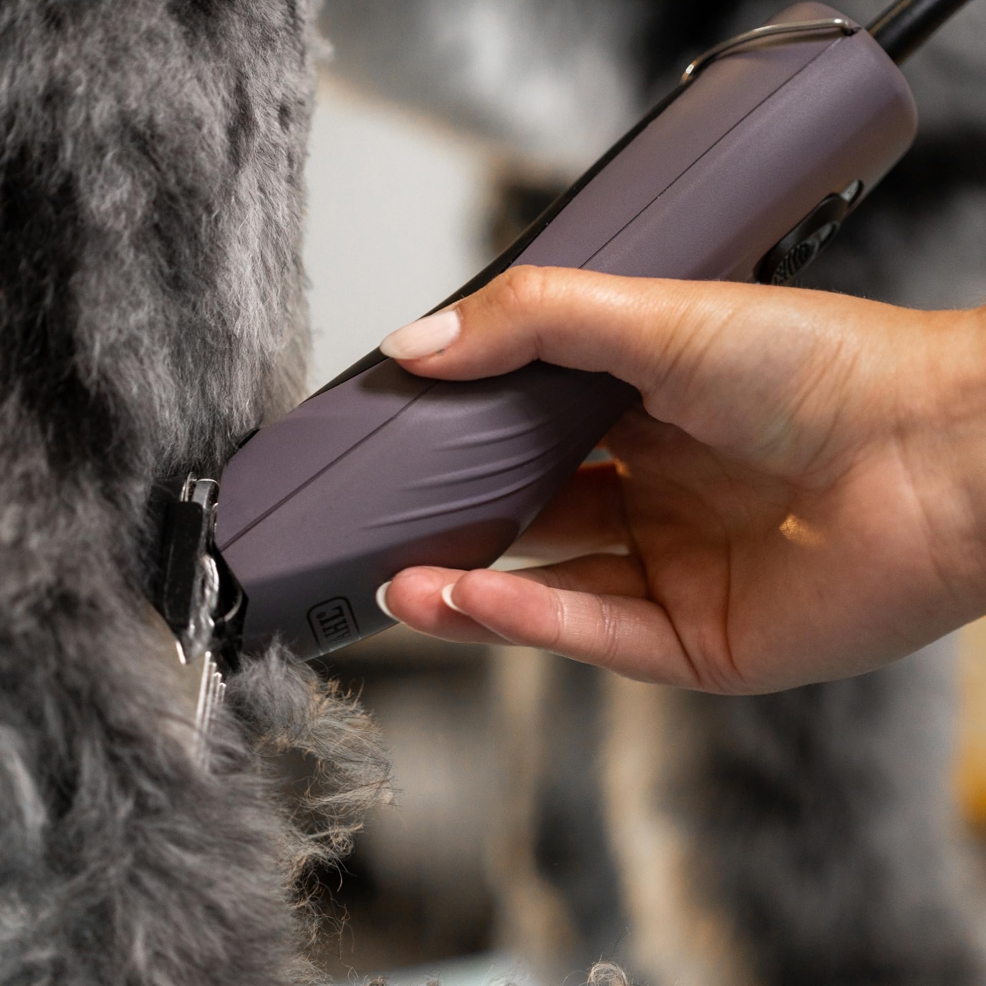 Agrarzone Edition Wahl KM10+ tosatrice professionale per cani e gatti - Silenziosa, Potente, con set di rilievi - Ideale per toelettatori e veterinari