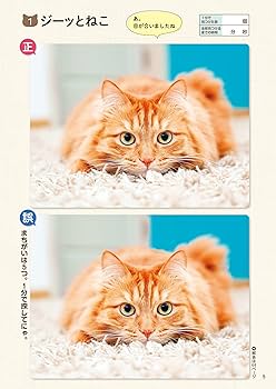 毎日脳活スペシャル 超にゃん問！ ねこのまちがいさがし お座りねこ