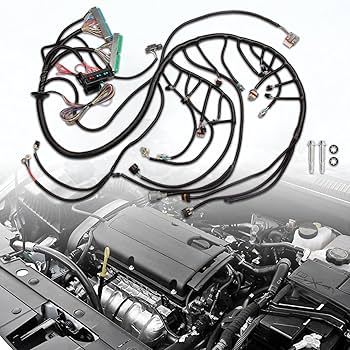 Amazon.com: 03-07 LS LS3 Vortec Engine Stand Alone Wire