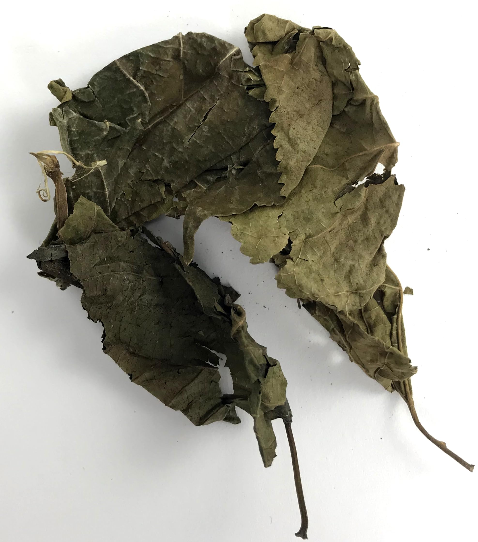 AquaLife Mulberry Leaves, 15 grams