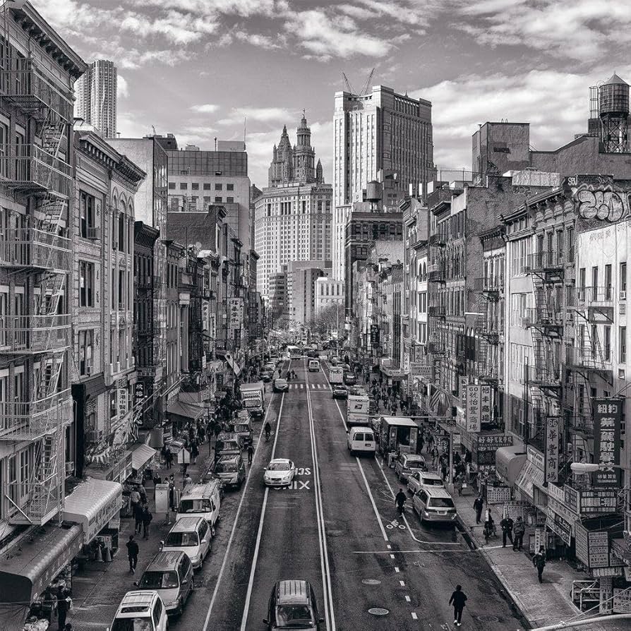 ピーター・リック写真集／2016年度米国グラフィックデザイン賞を受賞 ピーター・リック写真集／2016年度米国グラフィックデザイン賞を